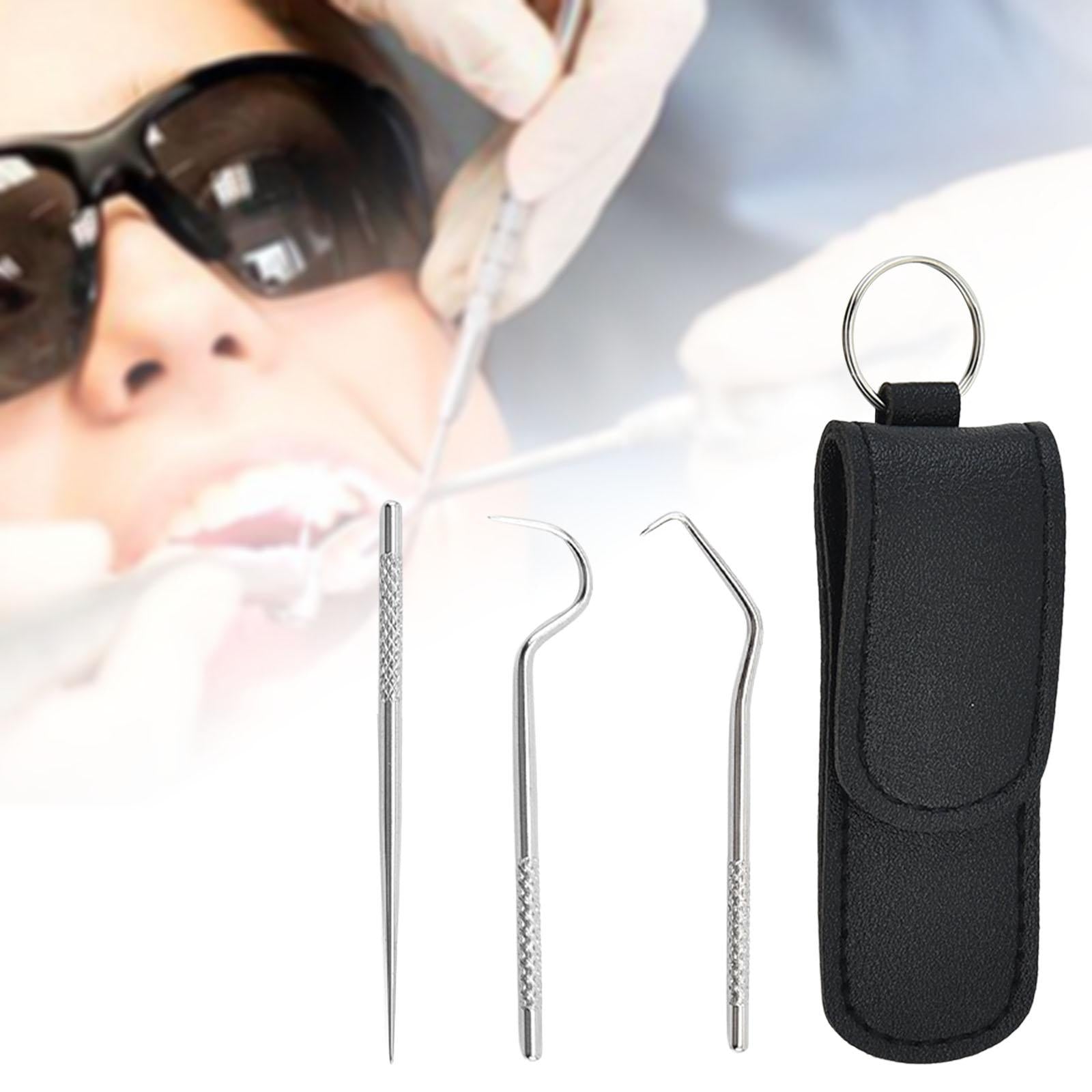 Toothpicks Pocket Set Reusable with Holder Metal Toothpicks  Set of 4