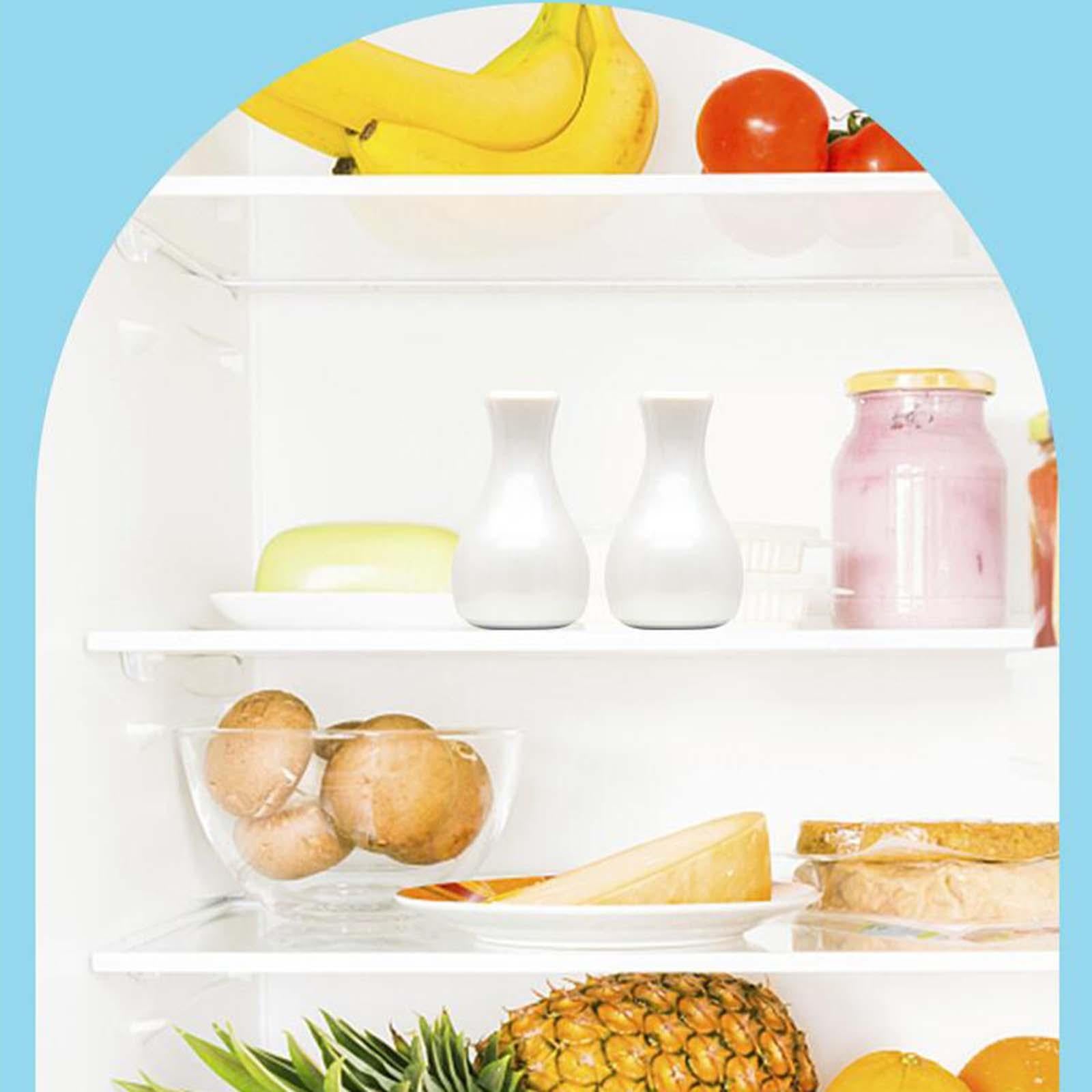 Handheld Facial Cold Hammer Rejuvenation for Body Lifting Dark Circles