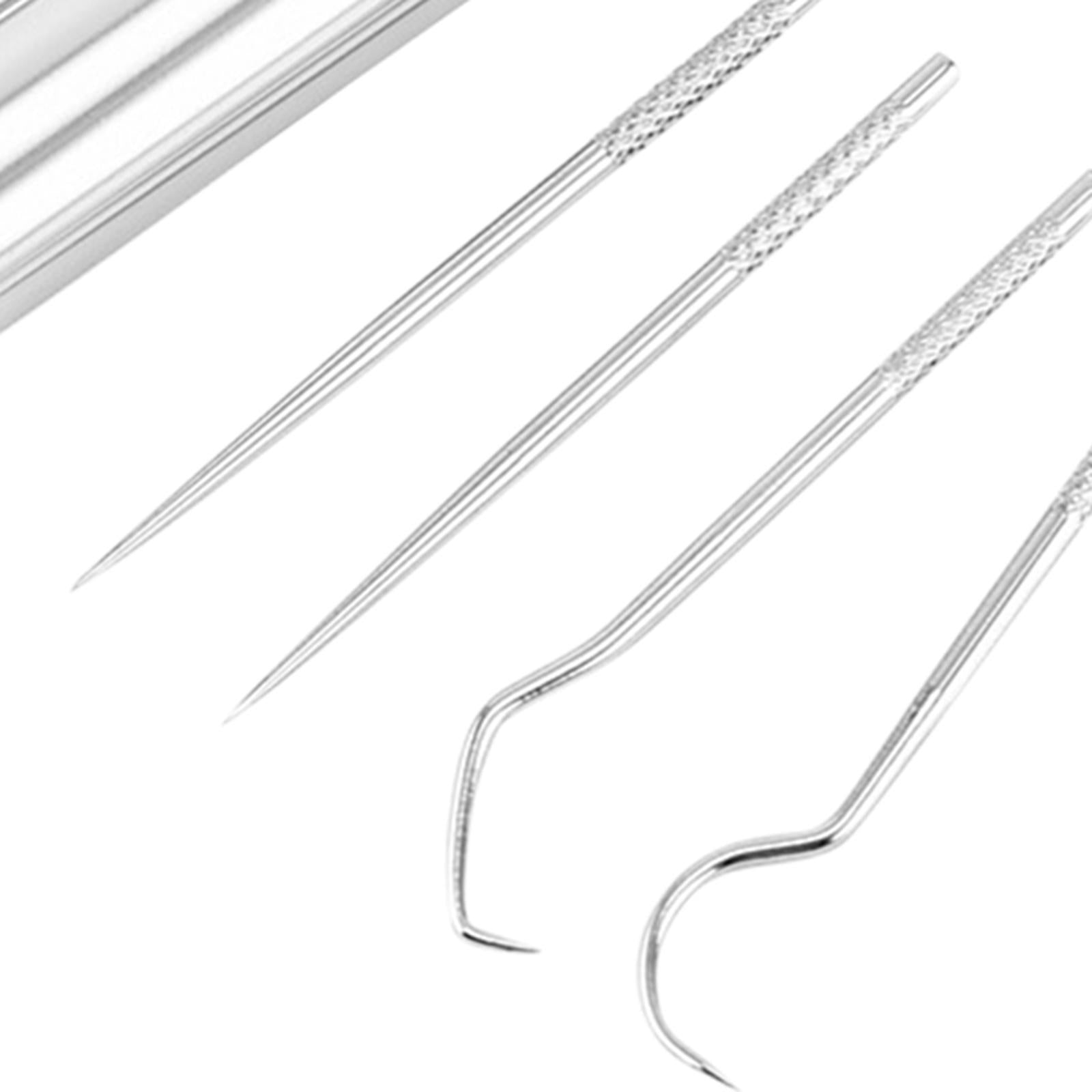 5Pcs Stainless Steel Toothpick Kit Oral Cleaning Kit for Outdoor Picnic Silver
