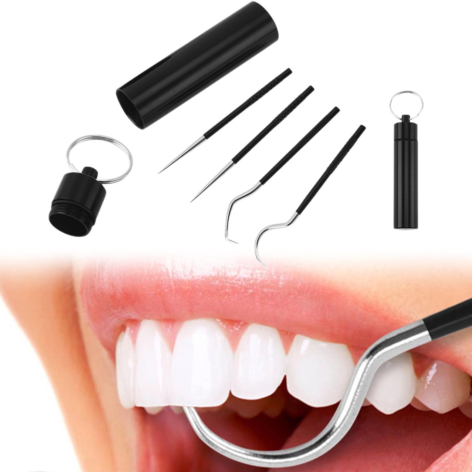 5Pcs Stainless Steel Toothpick Kit Oral Cleaning Kit for Outdoor Picnic Black