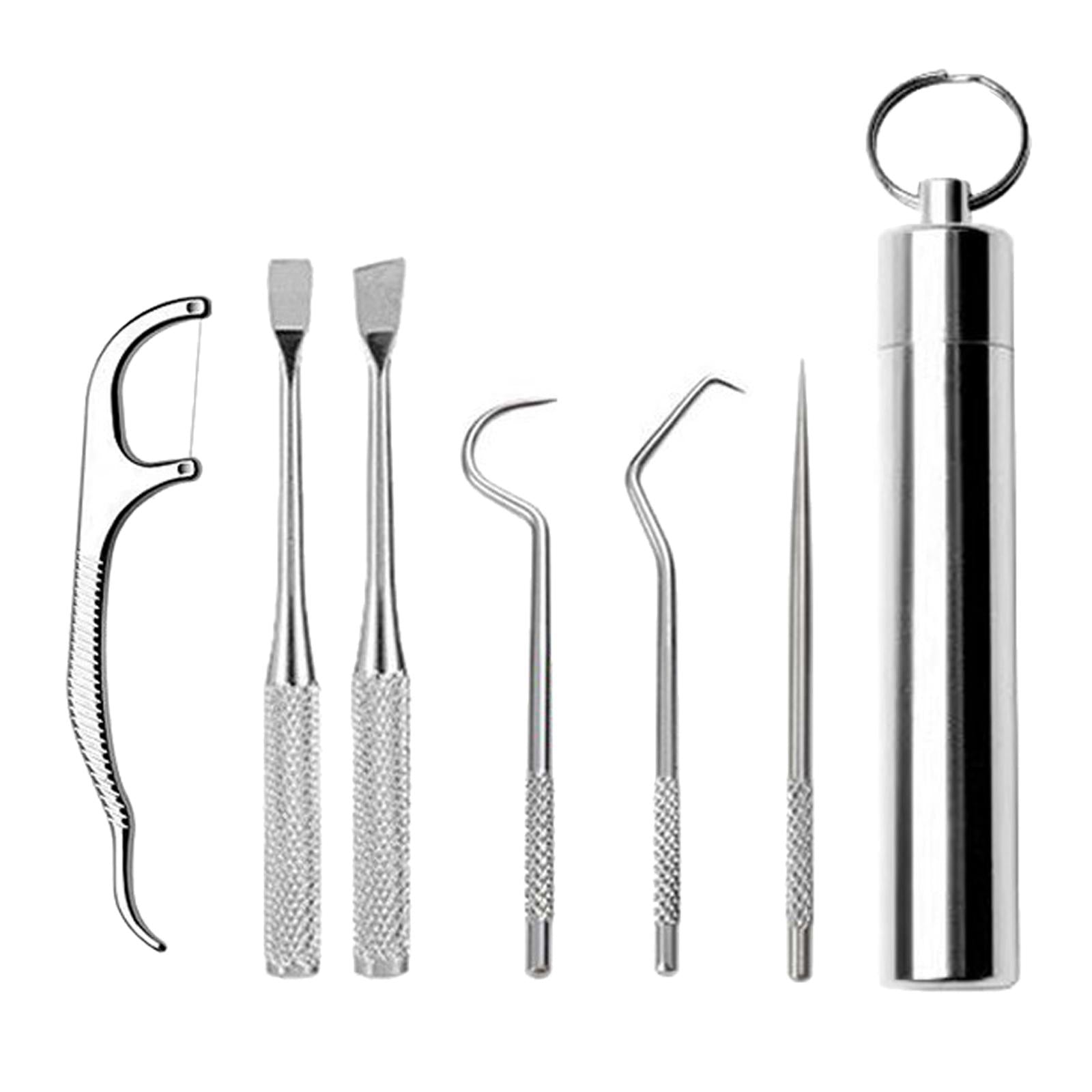 Stainless Steel Toothpick Kit with Waterproof Holder for Daily Use Traveling