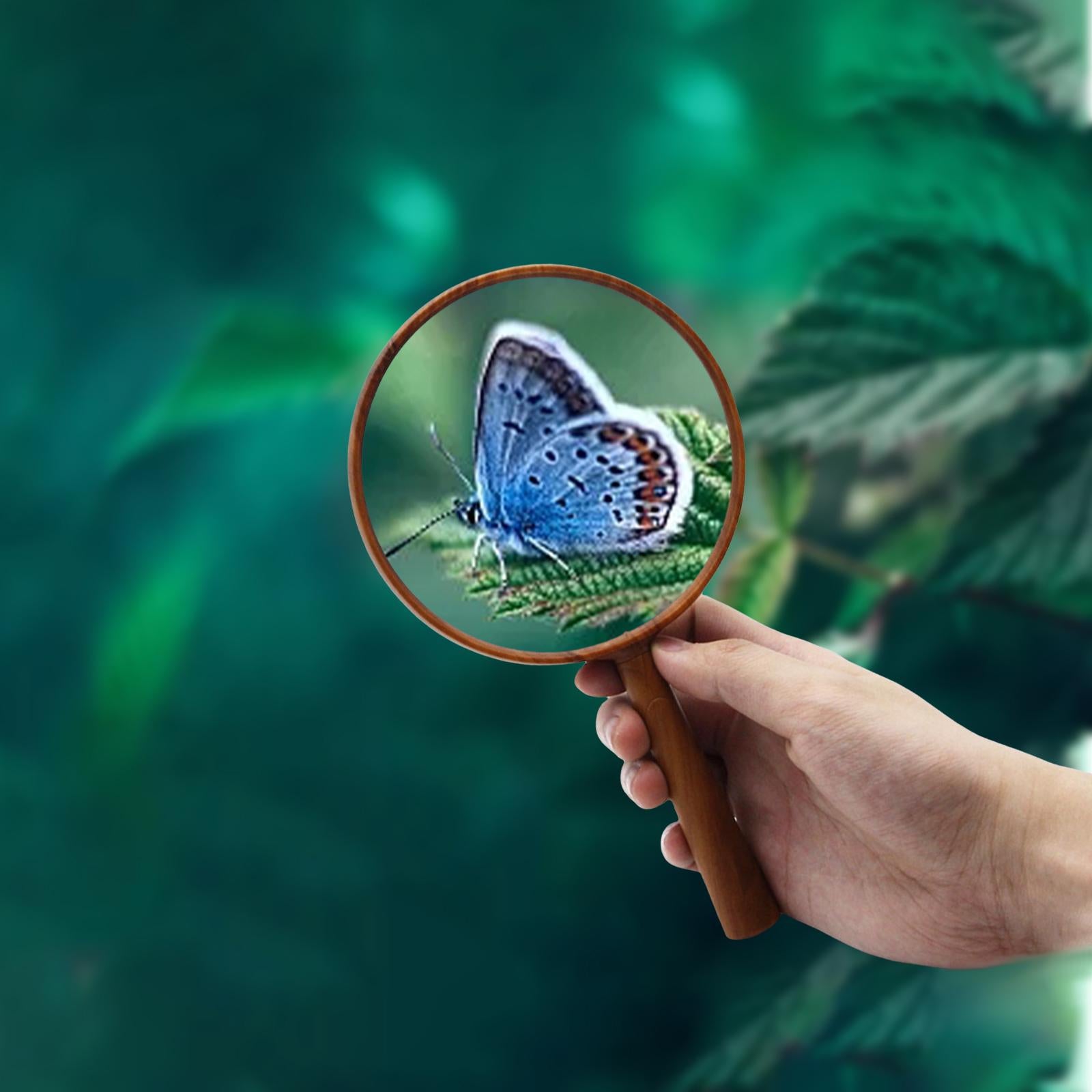 Magnifying Glass Reading Magnifier for Seniors and Kids Inspecting Jewelry 110mm