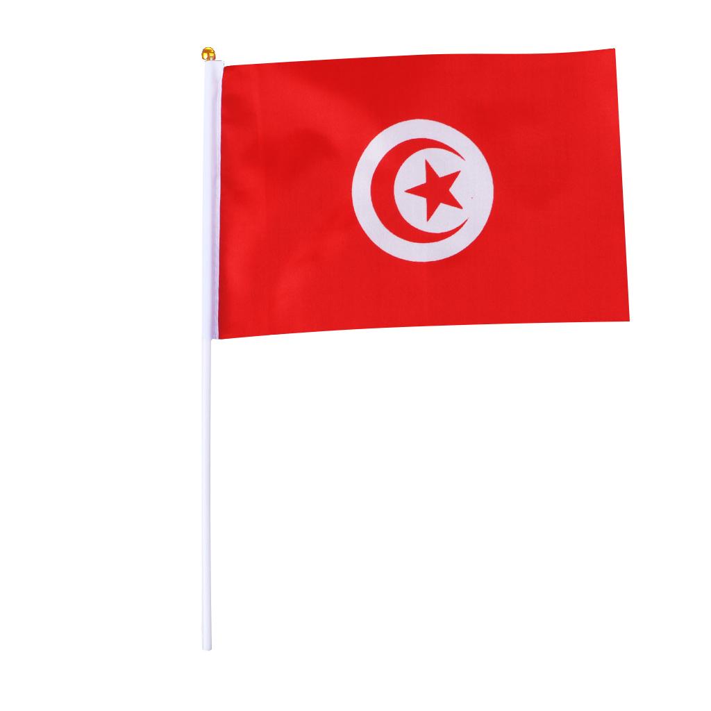 12PCS Flag Flags Banner Hand Waving Flag National Pride Flag Tunisia