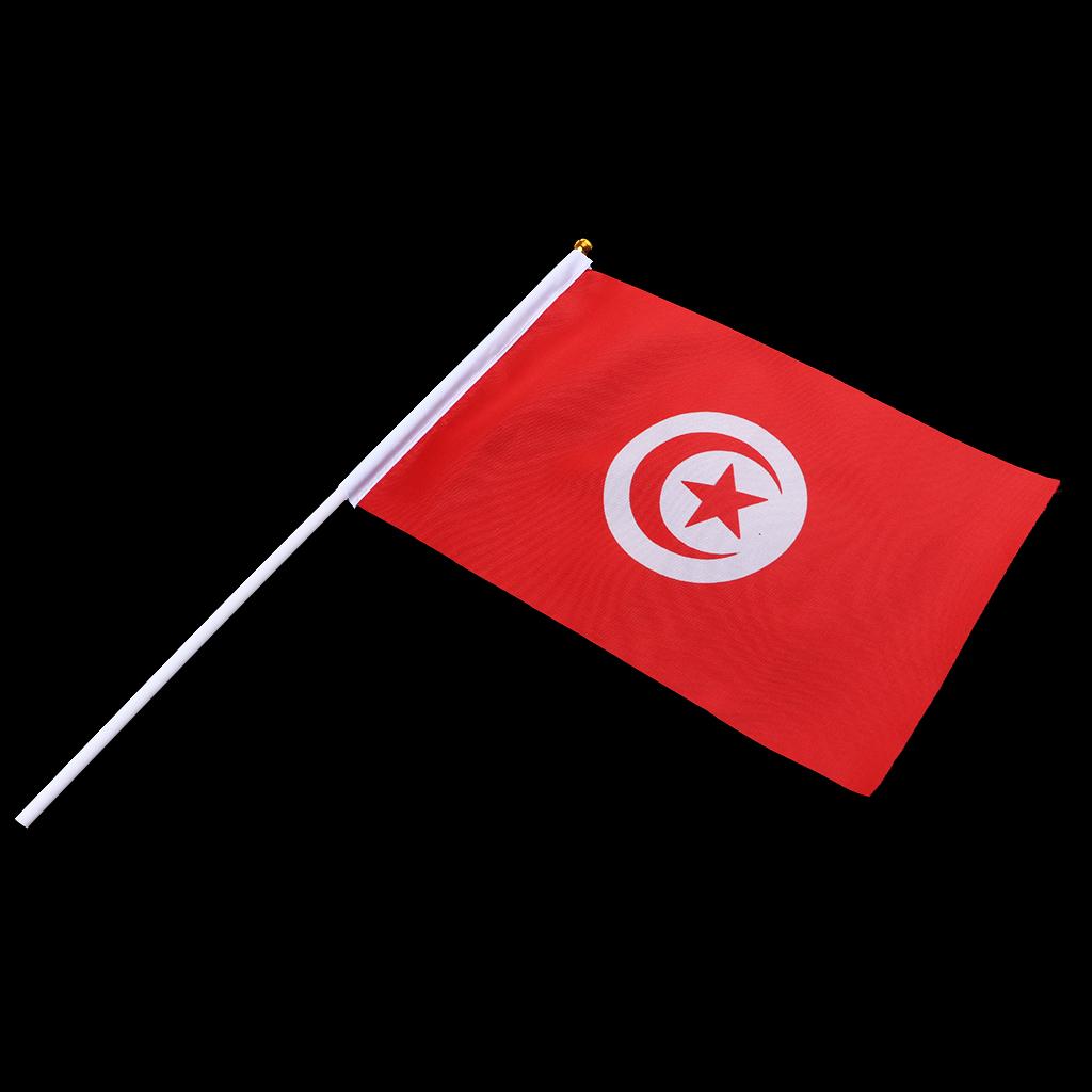 12PCS Flag Flags Banner Hand Waving Flag National Pride Flag Tunisia