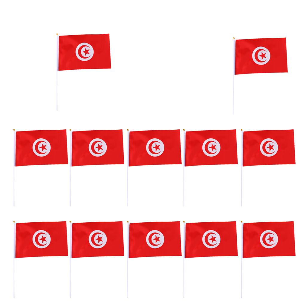 12PCS Flag Flags Banner Hand Waving Flag National Pride Flag Tunisia