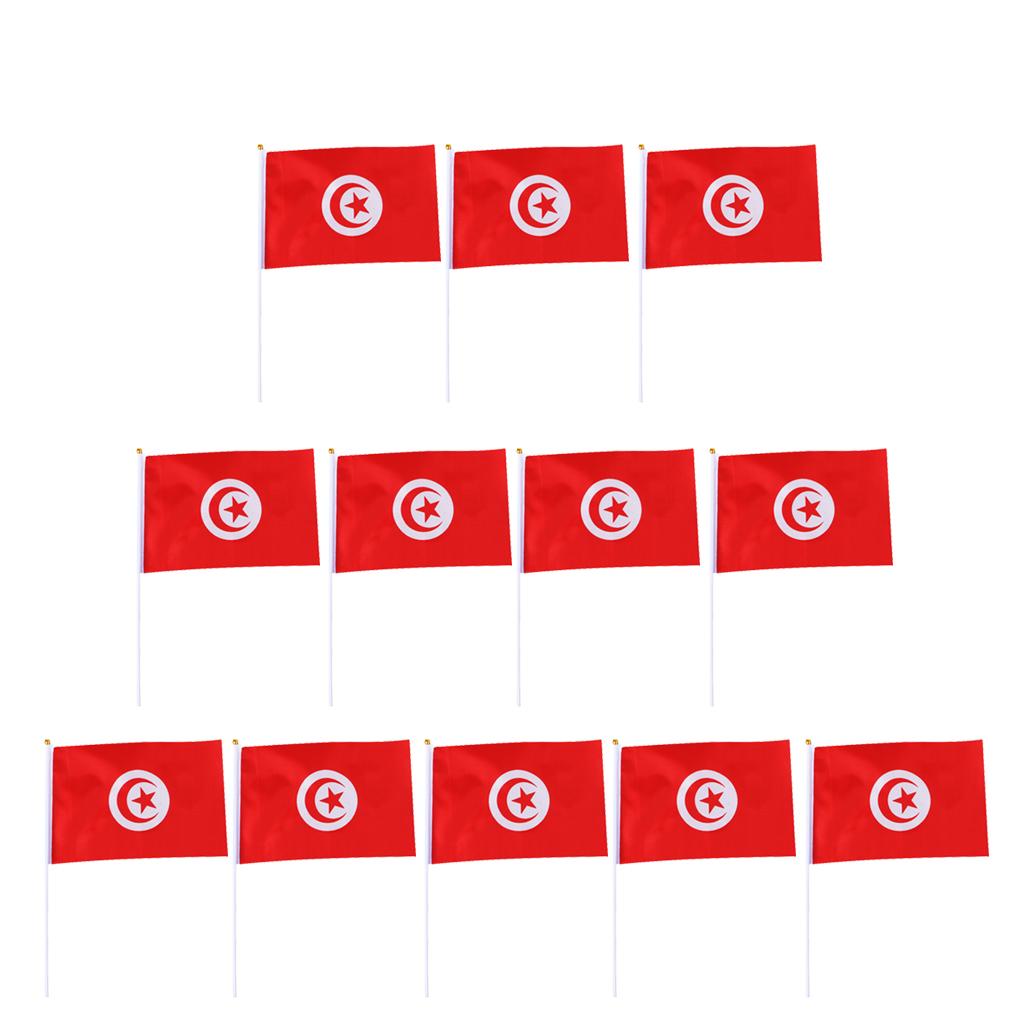 12PCS Flag Flags Banner Hand Waving Flag National Pride Flag Tunisia