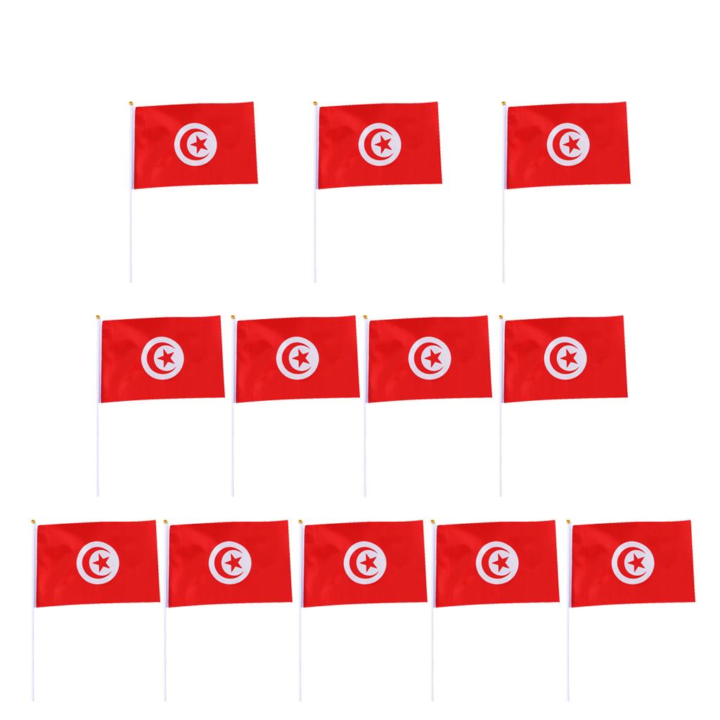 12PCS Flag Flags Banner Hand Waving Flag National Pride Flag Tunisia
