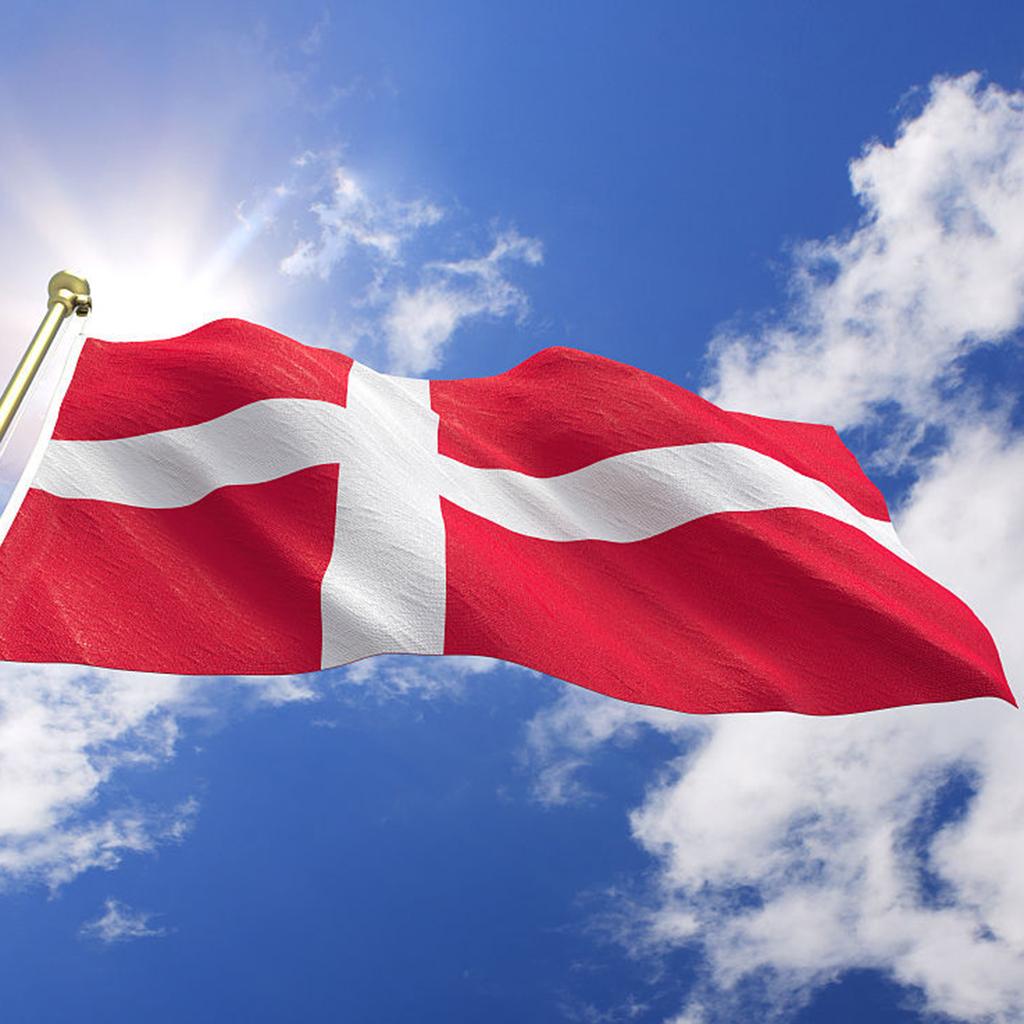 Country Large Flag National Banner Festival Decor Red White Denmark