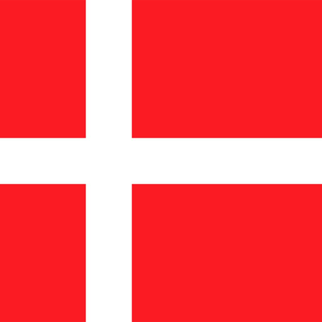 Country Large Flag National Banner Festival Decor Red White Denmark