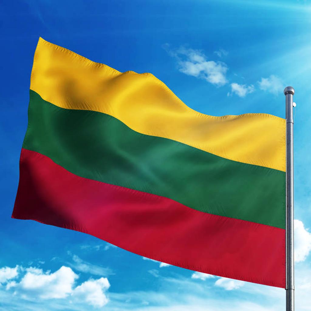 Country Large Flag National Banner Festival Decor Yellow Green Red Lithuania