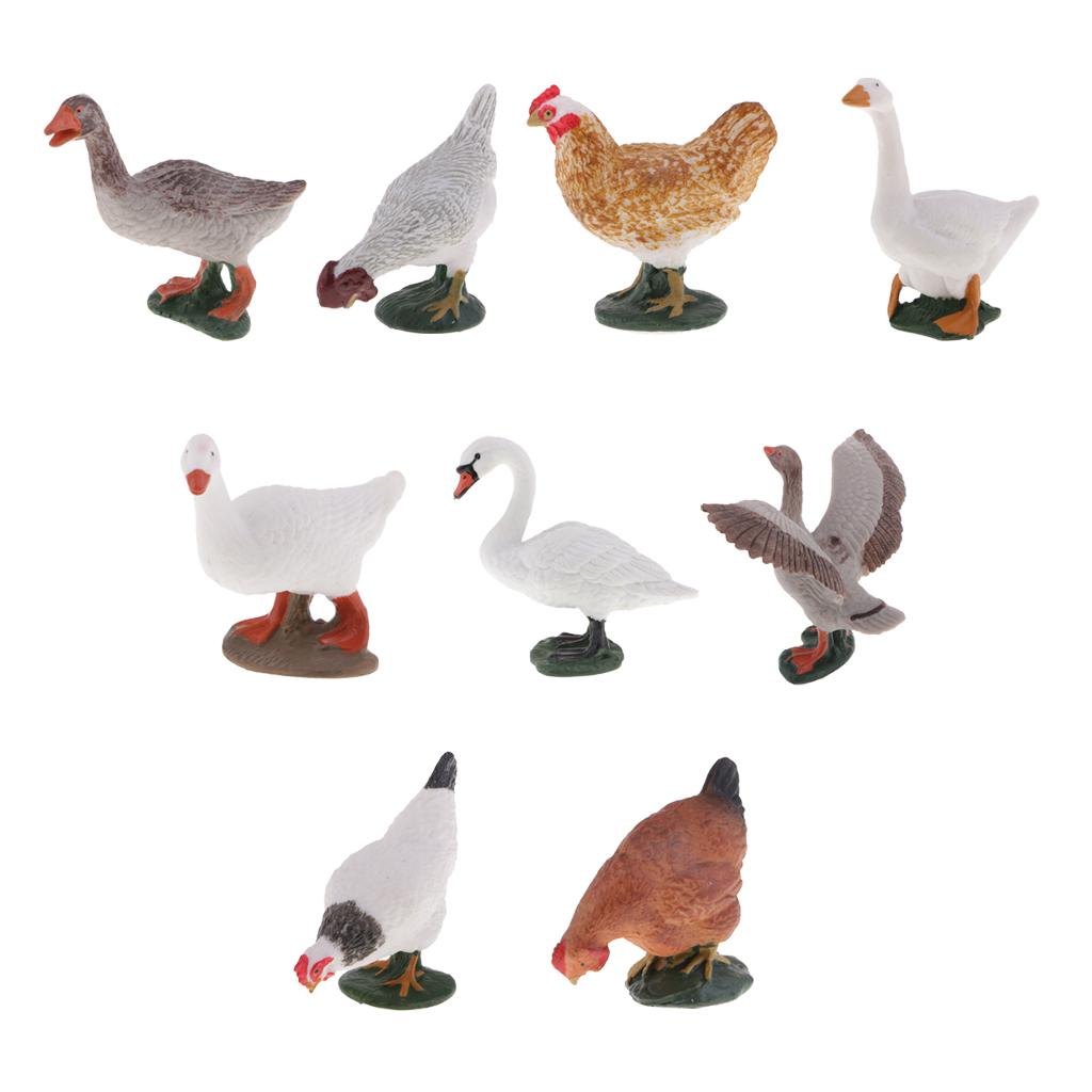 Farm Animal Body Model Lifelike Fowl Hen Chickens Figurine White MY6221-322