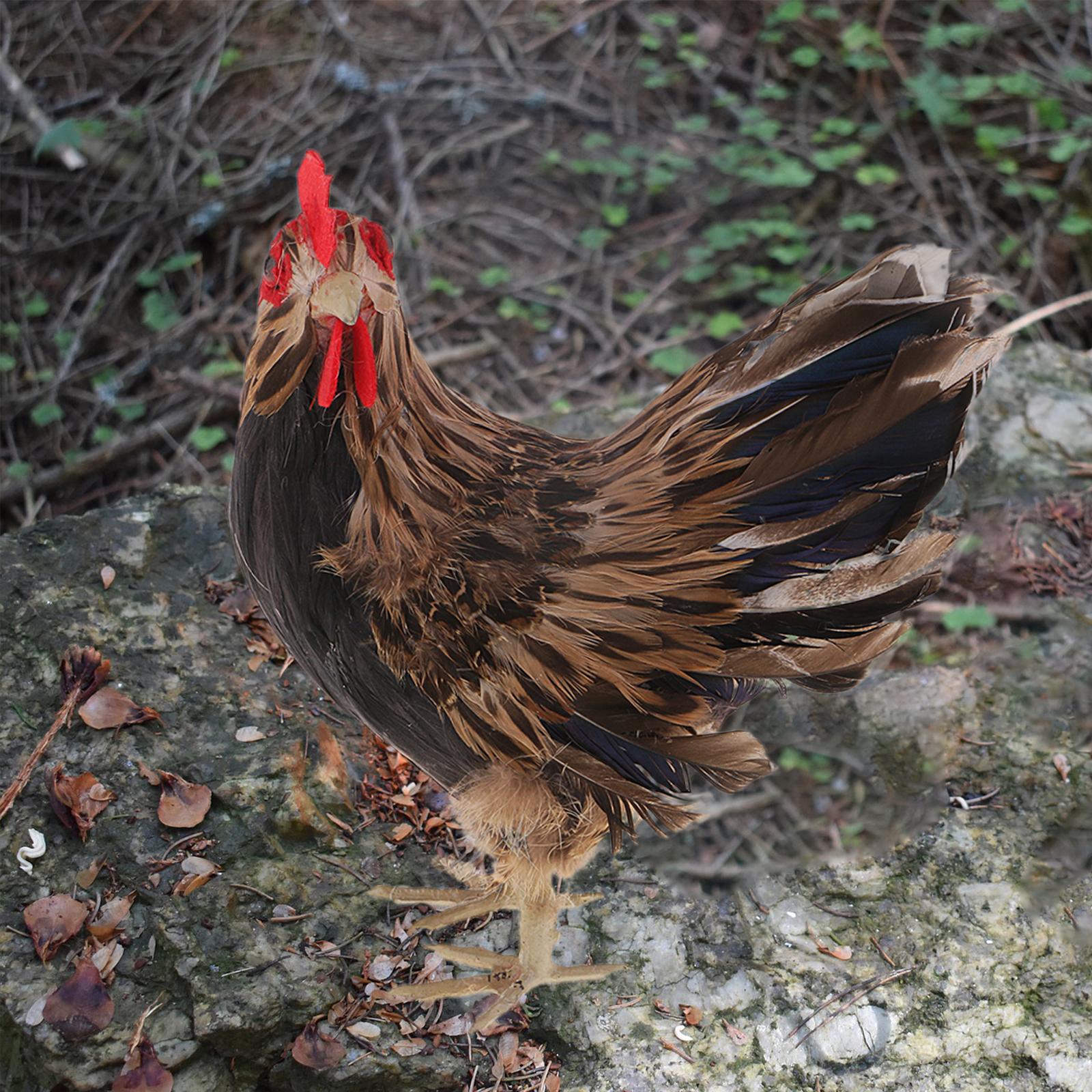 9 Lightweight Hen Model Farm Life Animal Figure Decoration - PVC + Feather"