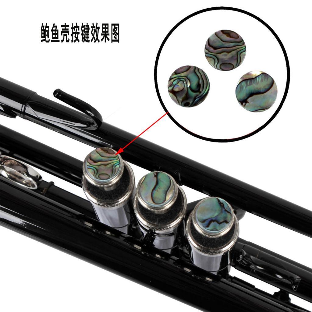 3 Pieces Shell Finger Buttons for Trumpet Repairing Tools