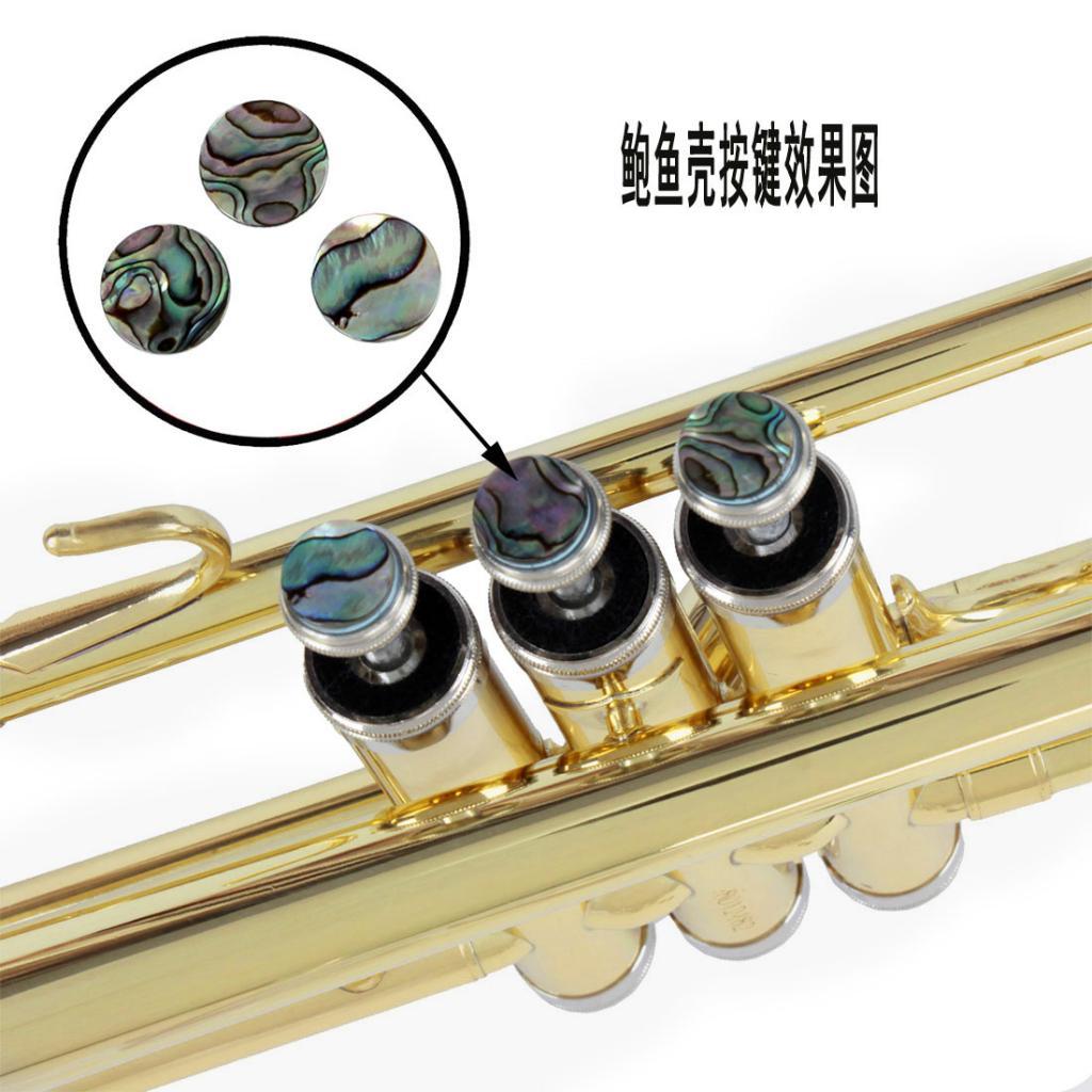3 Pieces Shell Finger Buttons for Trumpet Repairing Tools