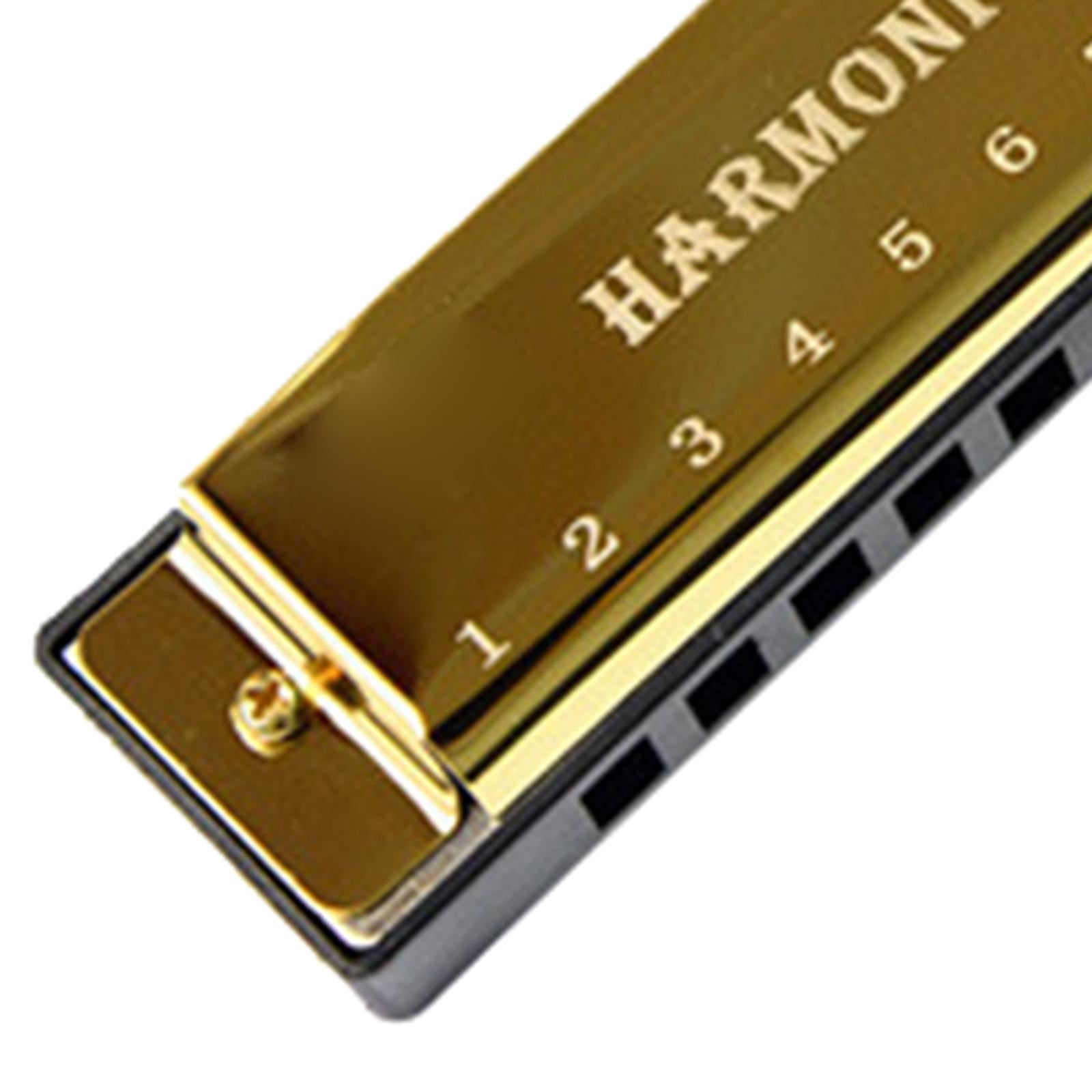 Blues Harmonica Diatonic Harp Mouth Organ 10 Hole Musical Instrument Golden
