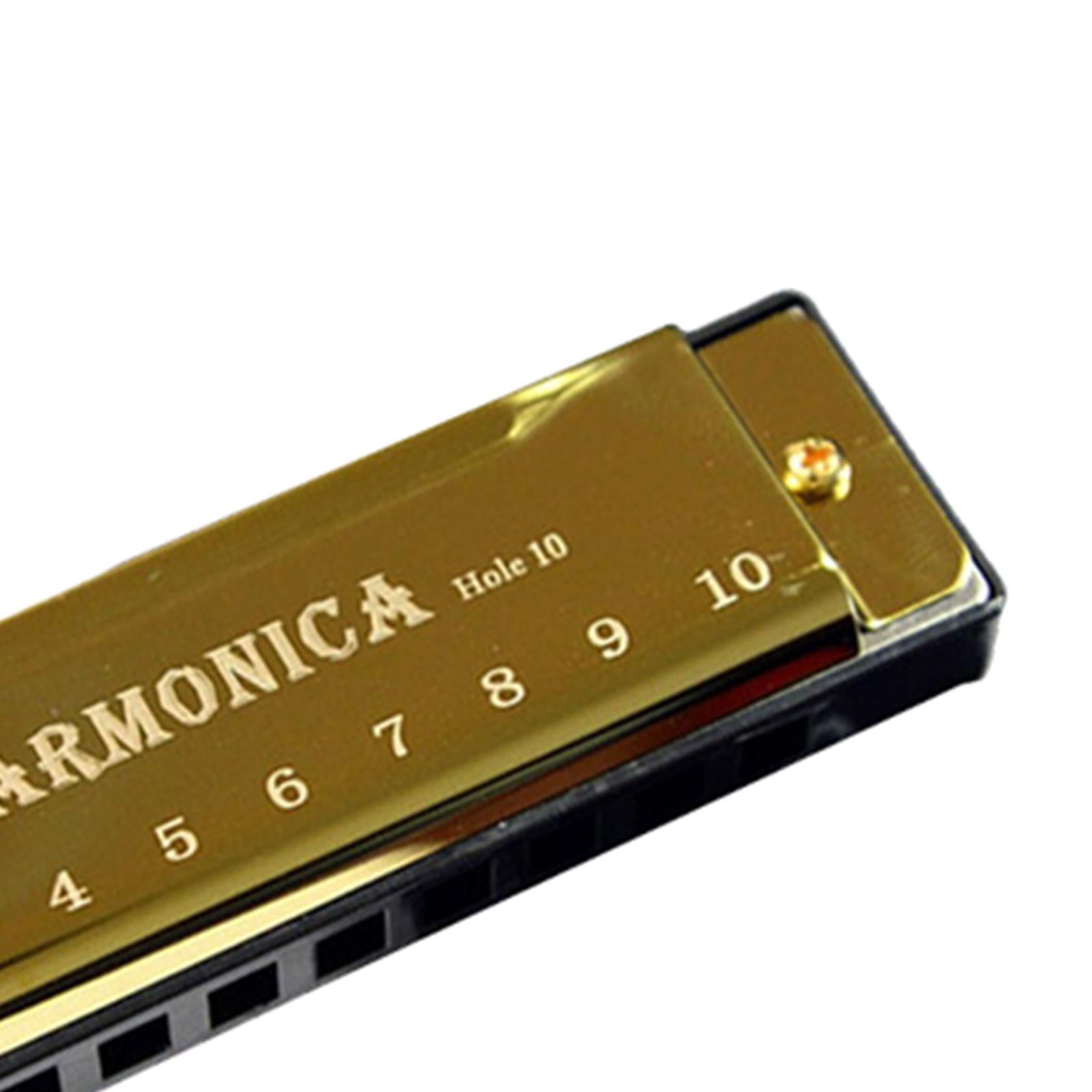Blues Harmonica Diatonic Harp Mouth Organ 10 Hole Musical Instrument Golden