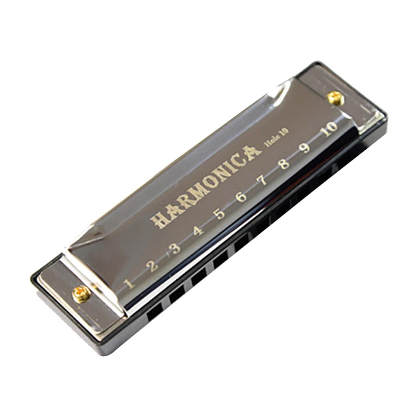 Blues Harmonica Diatonic Harp Mouth Organ 10 Hole Musical Instrument Silver