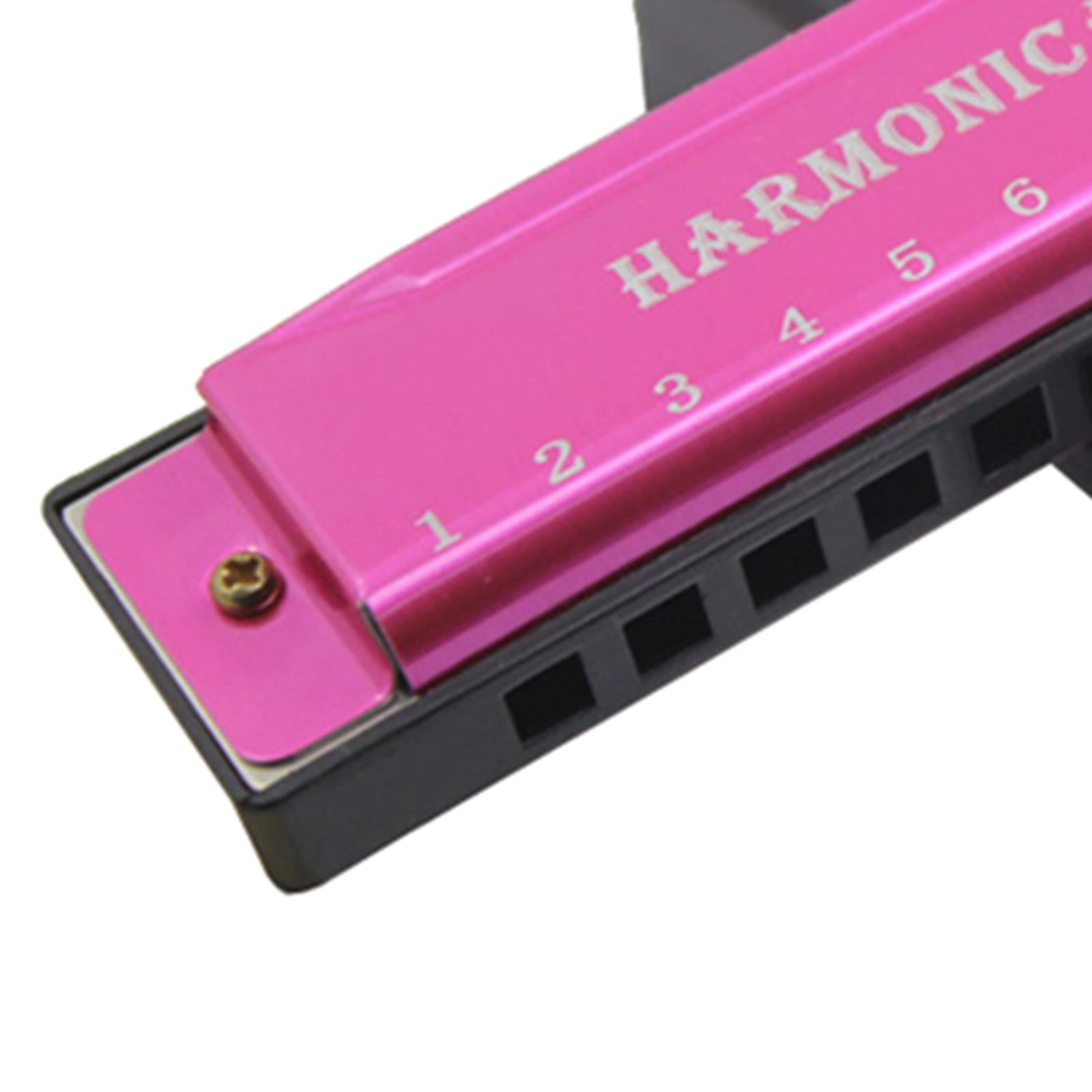 Blues Harmonica Diatonic Harp Mouth Organ 10 Hole Musical Instrument Pink