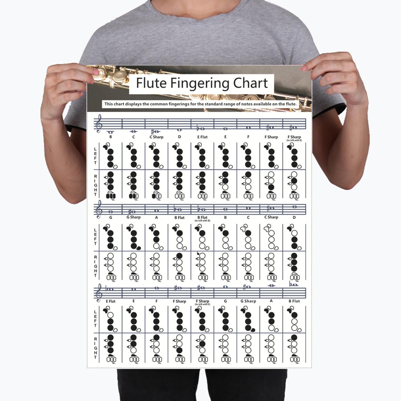 Flute Chord Chart Cheatsheets Educational Accessories for Student Beginners Large