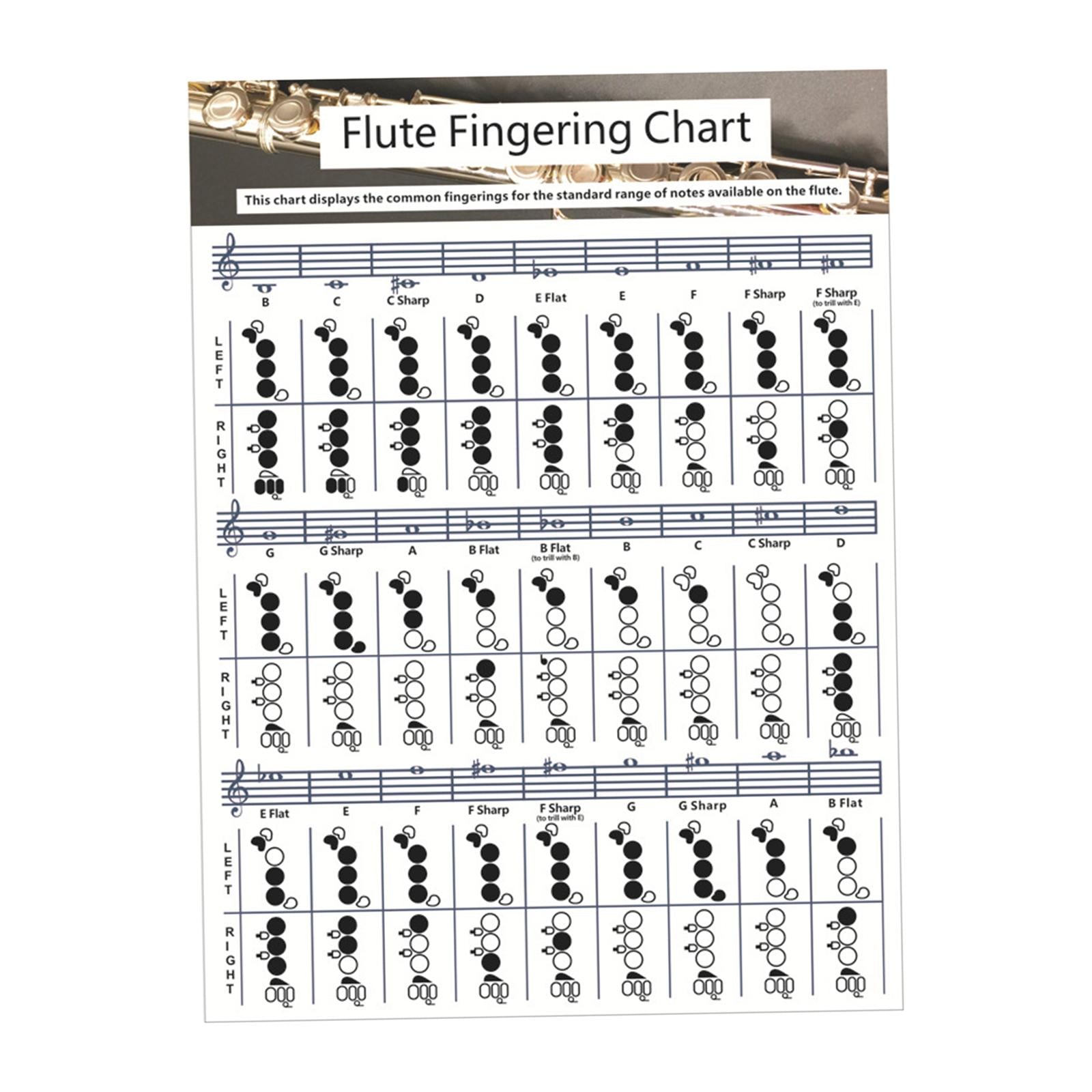 Flute Chord Chart Cheatsheets Educational Accessories for Student Beginners Small