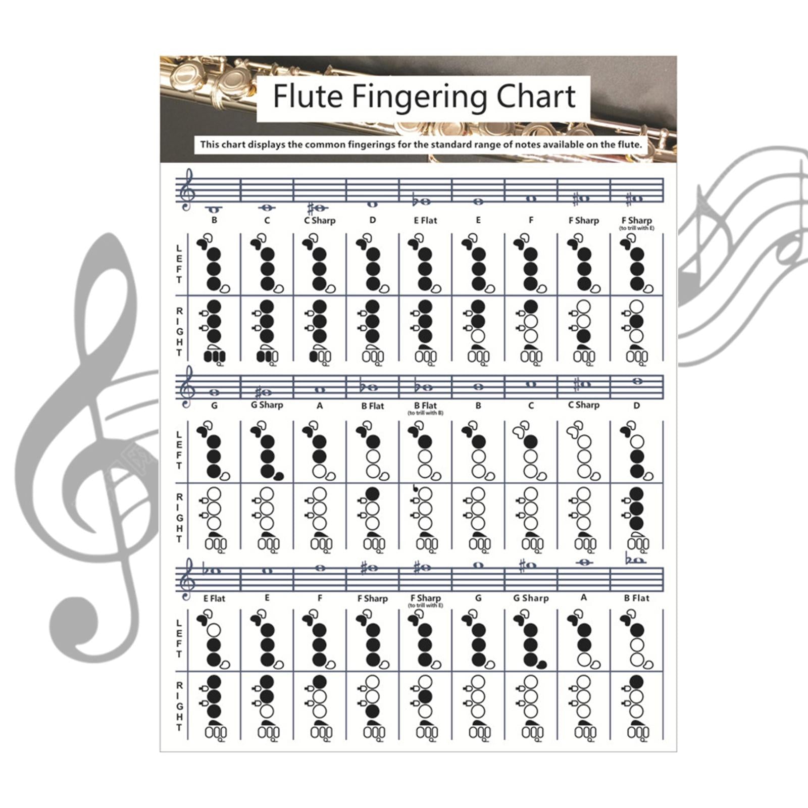 Flute Chord Chart Cheatsheets Educational Accessories for Student Beginners Small