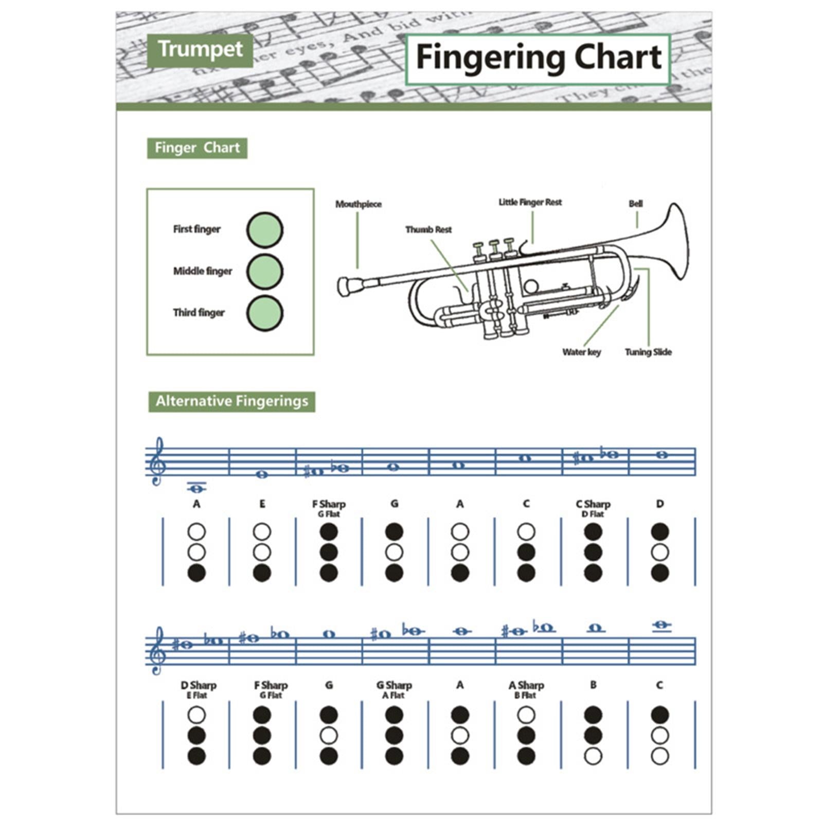 Coated Paper Trumpet Chord Spectrum for Trumpet Lovers Kids Practice Tool Large