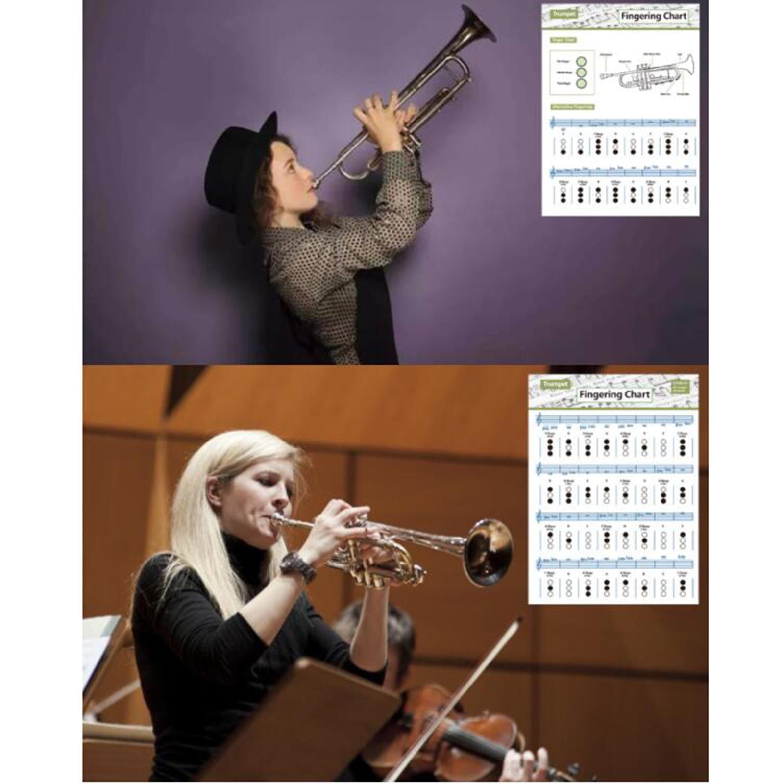Coated Paper Trumpet Chord Spectrum for Trumpet Lovers Kids Practice Tool Large