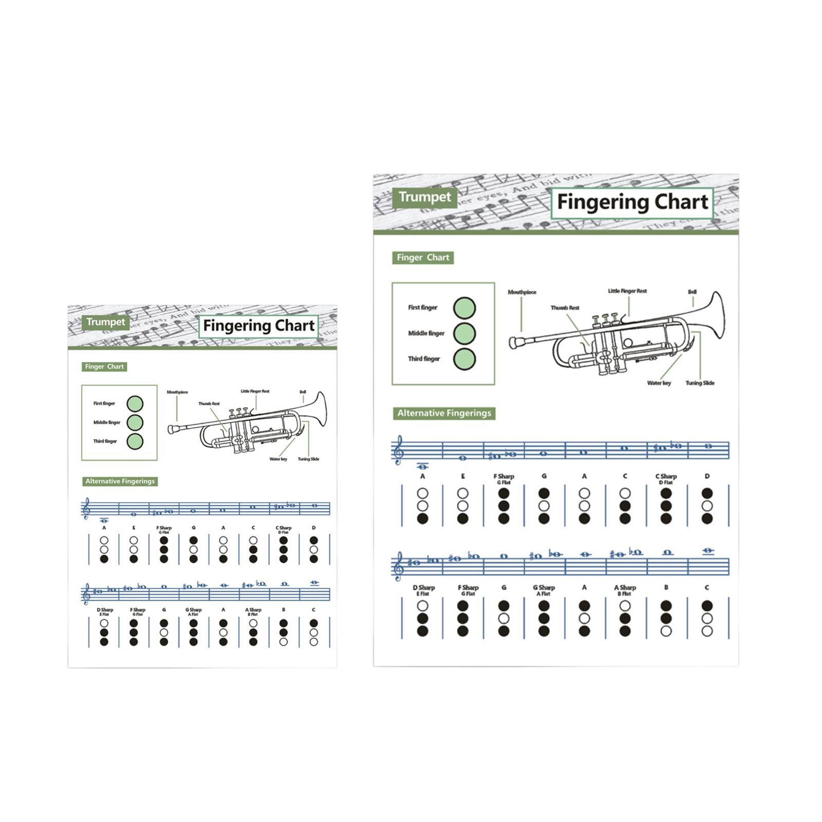 Coated Paper Trumpet Chord Spectrum for Trumpet Lovers Kids Practice Tool Large