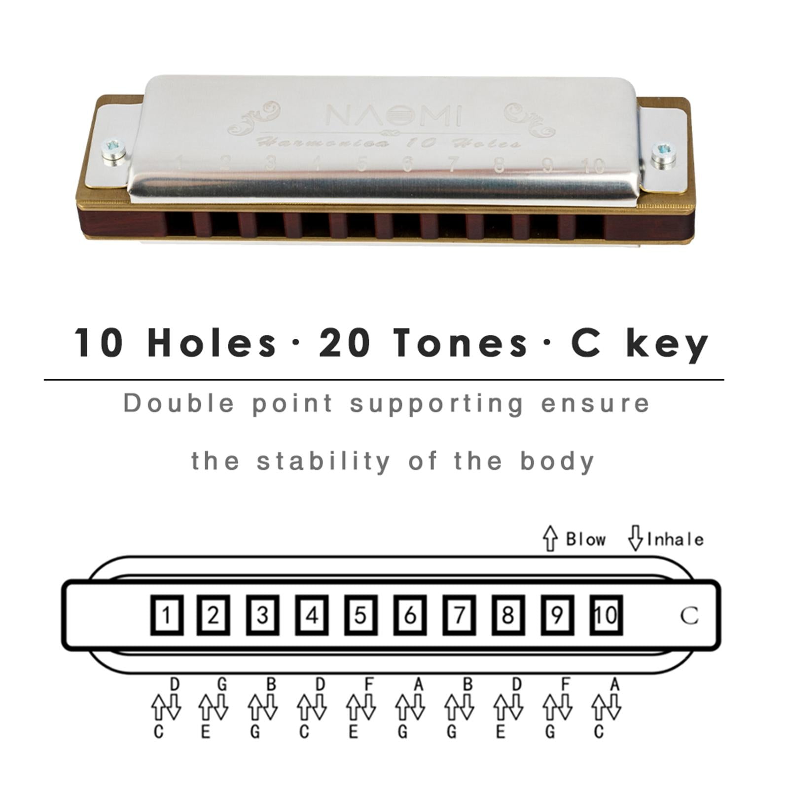 Harmonica with Storage Box Mouth Organ for Adults Professionals Musicians