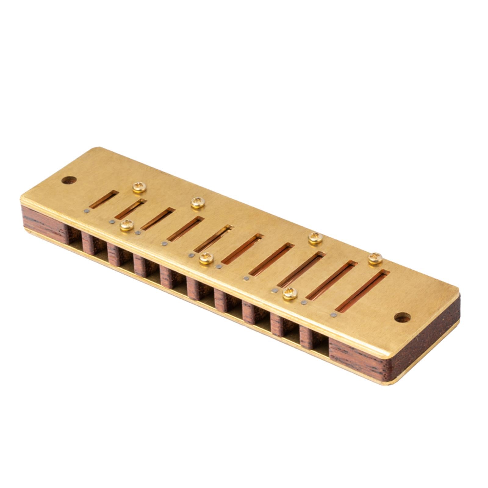 10 Holes Harmonica Mouth Organ for Musicians Professionals Holiday Gifts