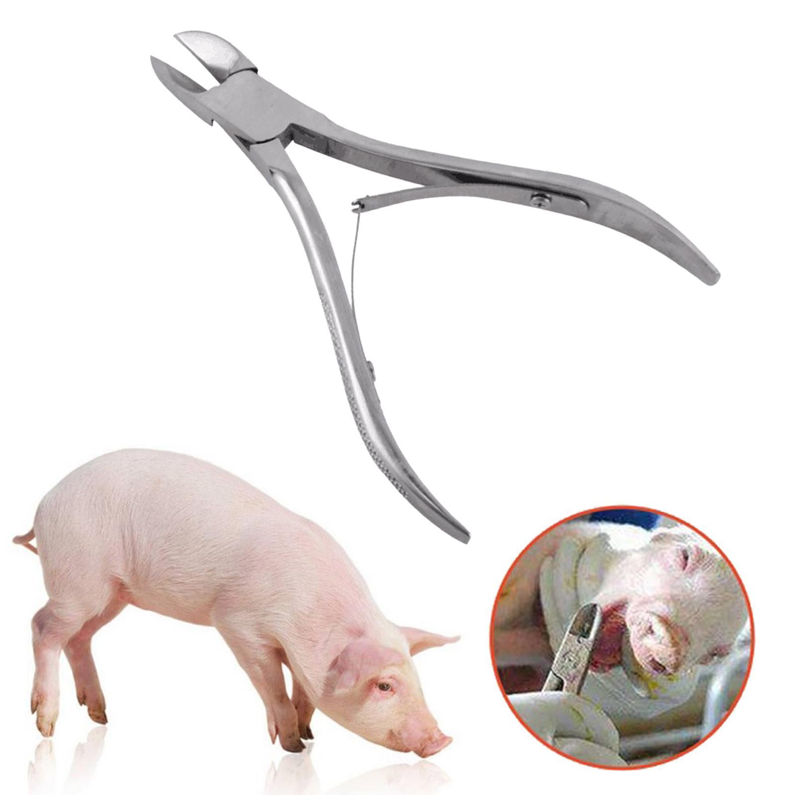 Stainless Steel Veterinary Piglet Teeth Pliers Pet Tooth Nipper for Piglet