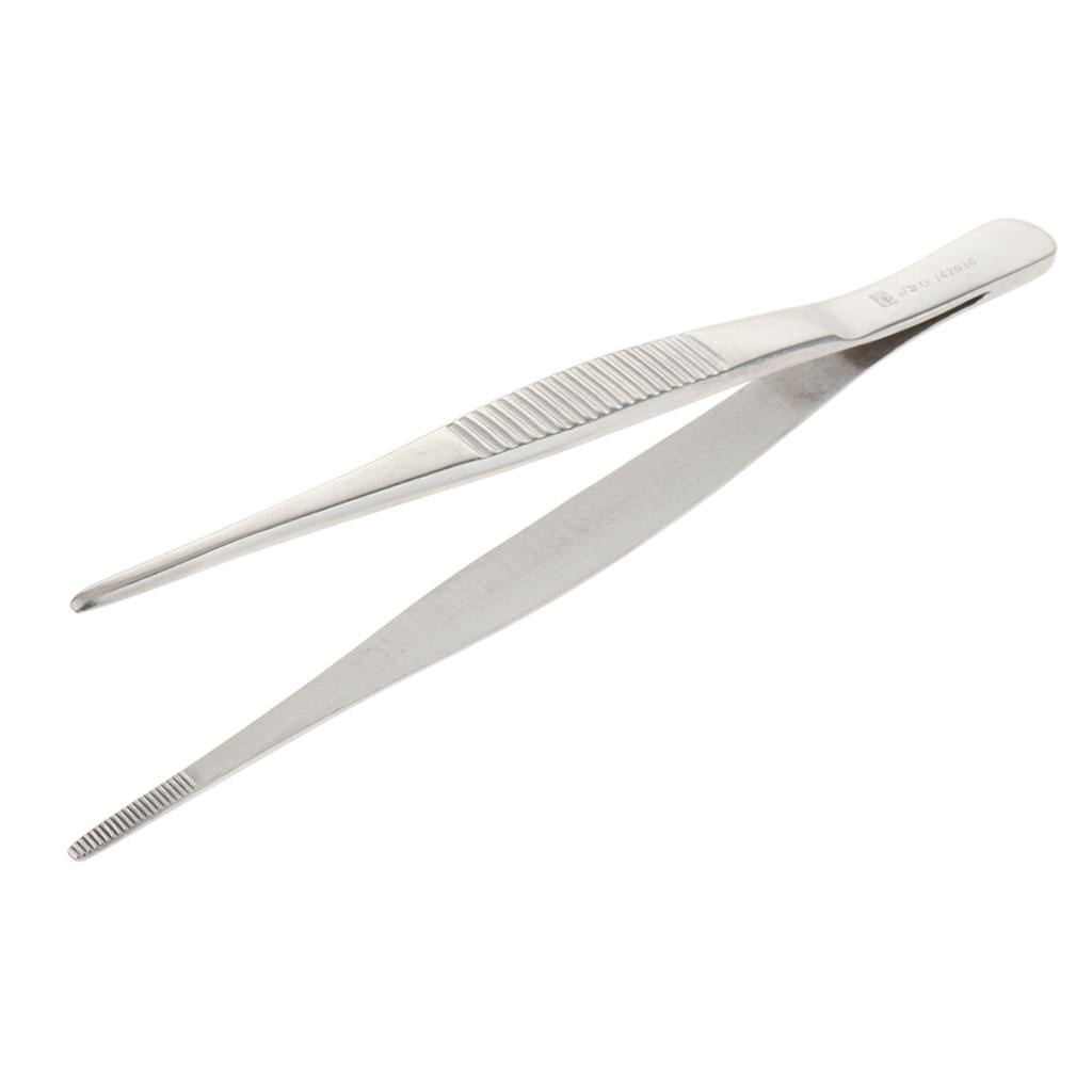 Long Stainless Steel Straight Tweezers for Detailed Work 16cm Length A