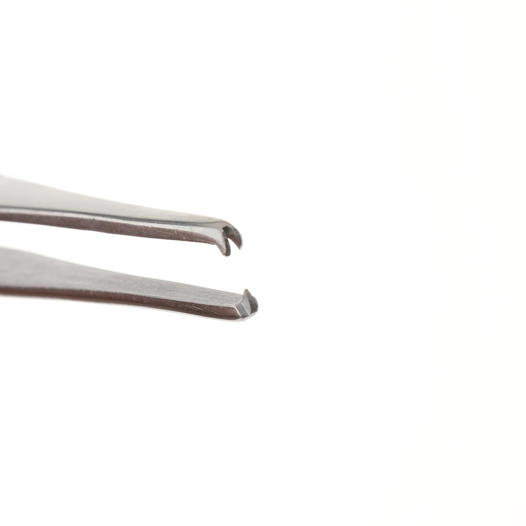 Long Stainless Steel Straight Tweezers for Detailed Work 16cm Length B