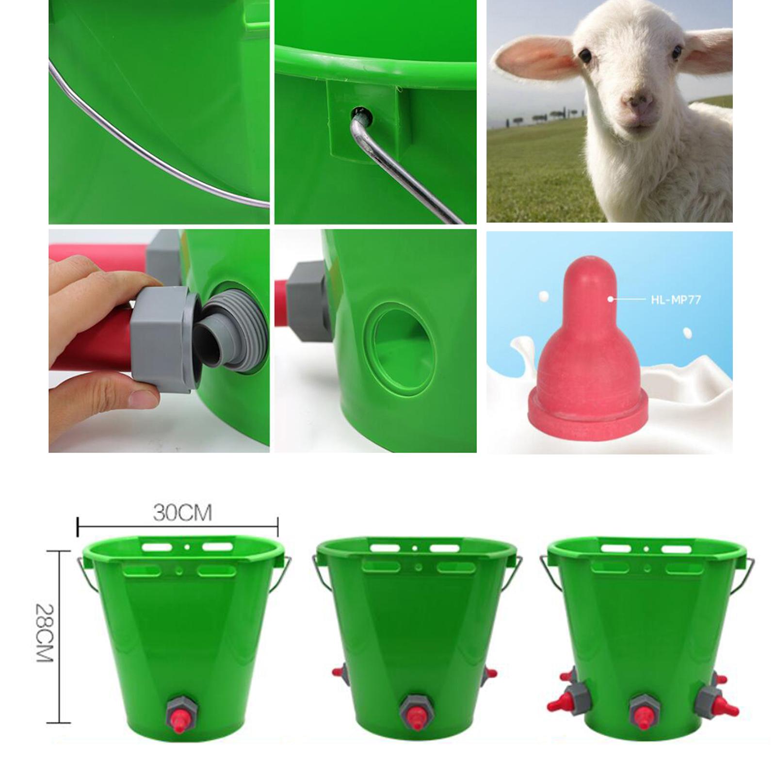 Large Capacity Milk Bucket Milk Feeding for Dog Pig Lamb Feeding 1 Nipple