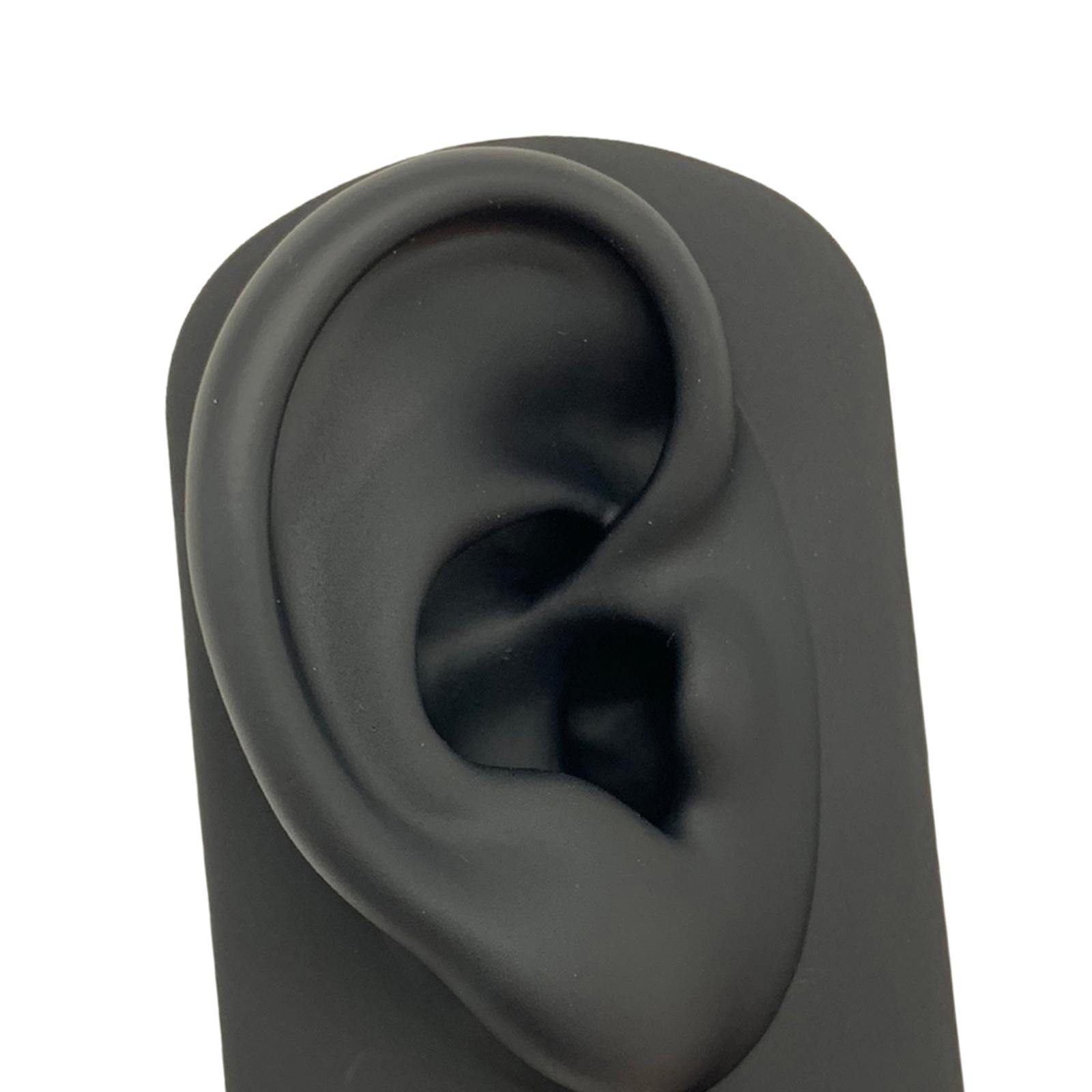 Silicone Soft Ear Model Teaching Tool Display Props  Black