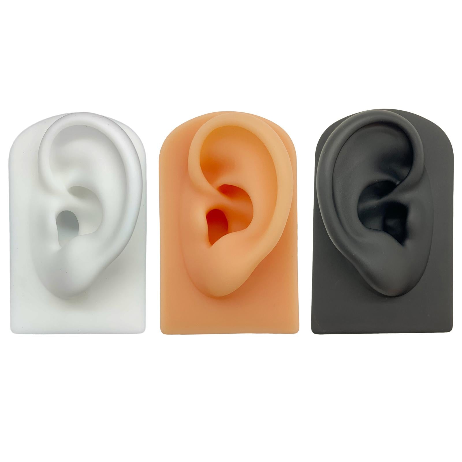 Silicone Soft Ear Model Teaching Tool Display Props  Black