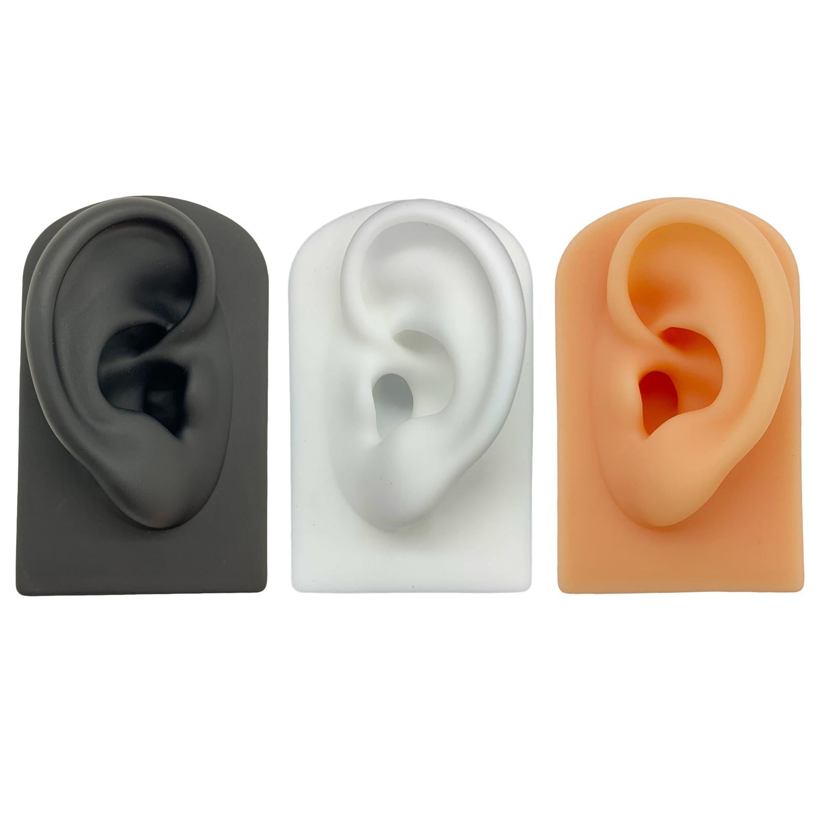 Silicone Soft Ear Model Teaching Tool Display Props  Black