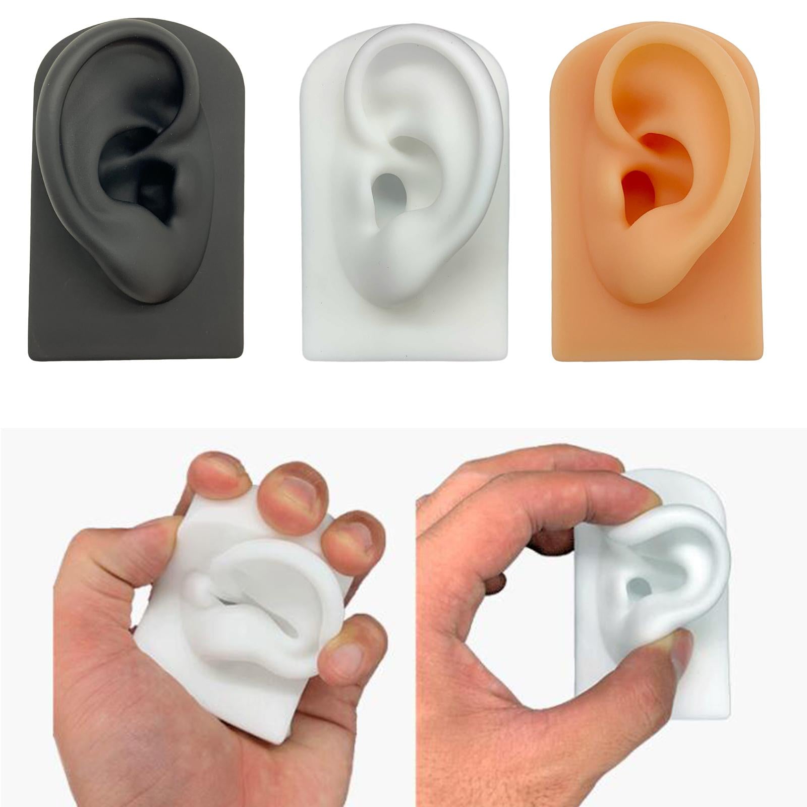 Silicone Soft Ear Model Teaching Tool Display Props  Black