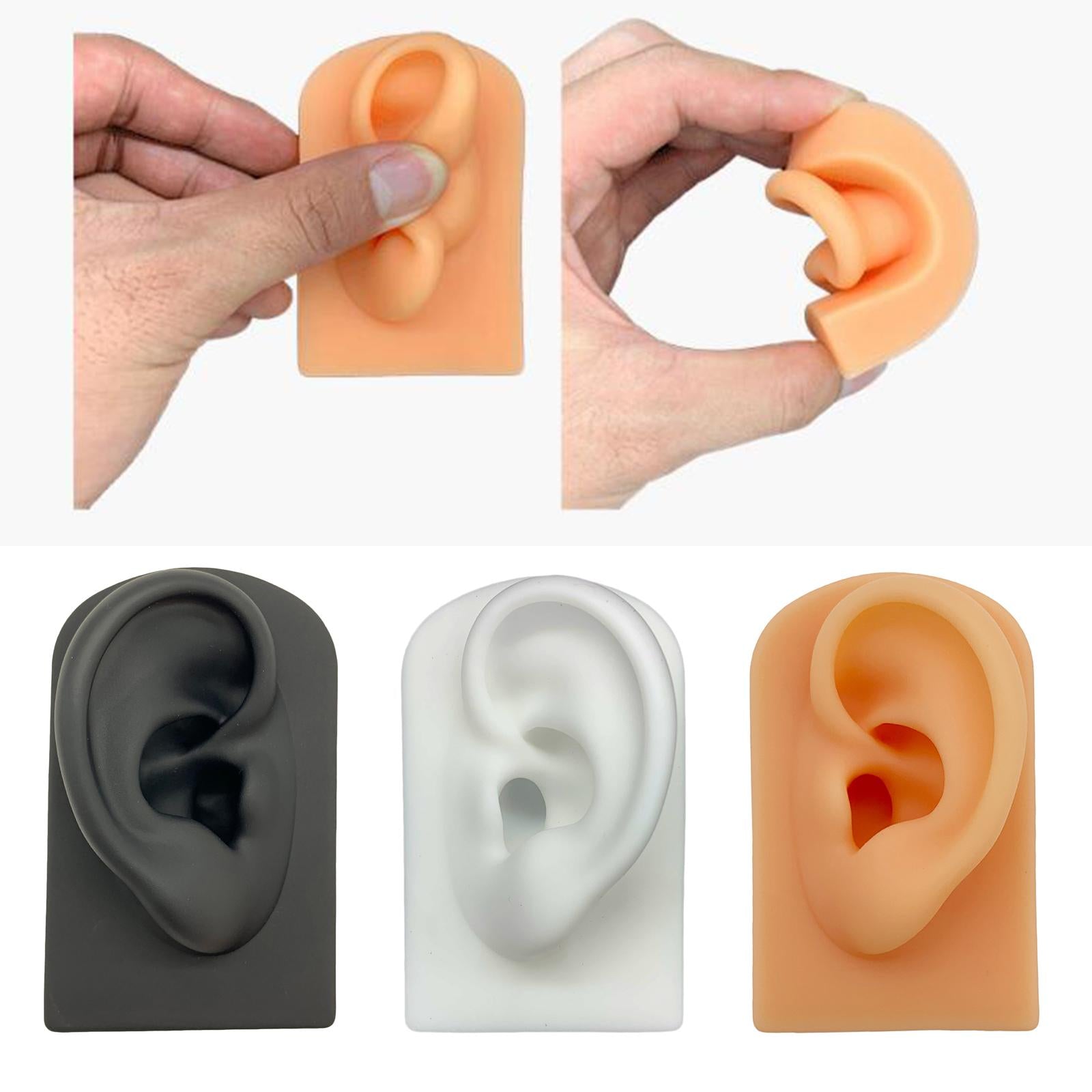 Silicone Soft Ear Model Teaching Tool Display Props  Black