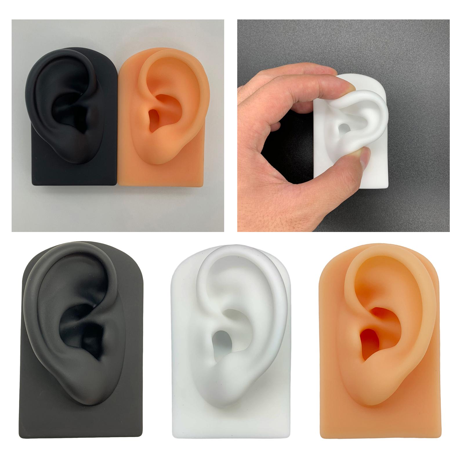 Silicone Soft Ear Model Teaching Tool Display Props  Black