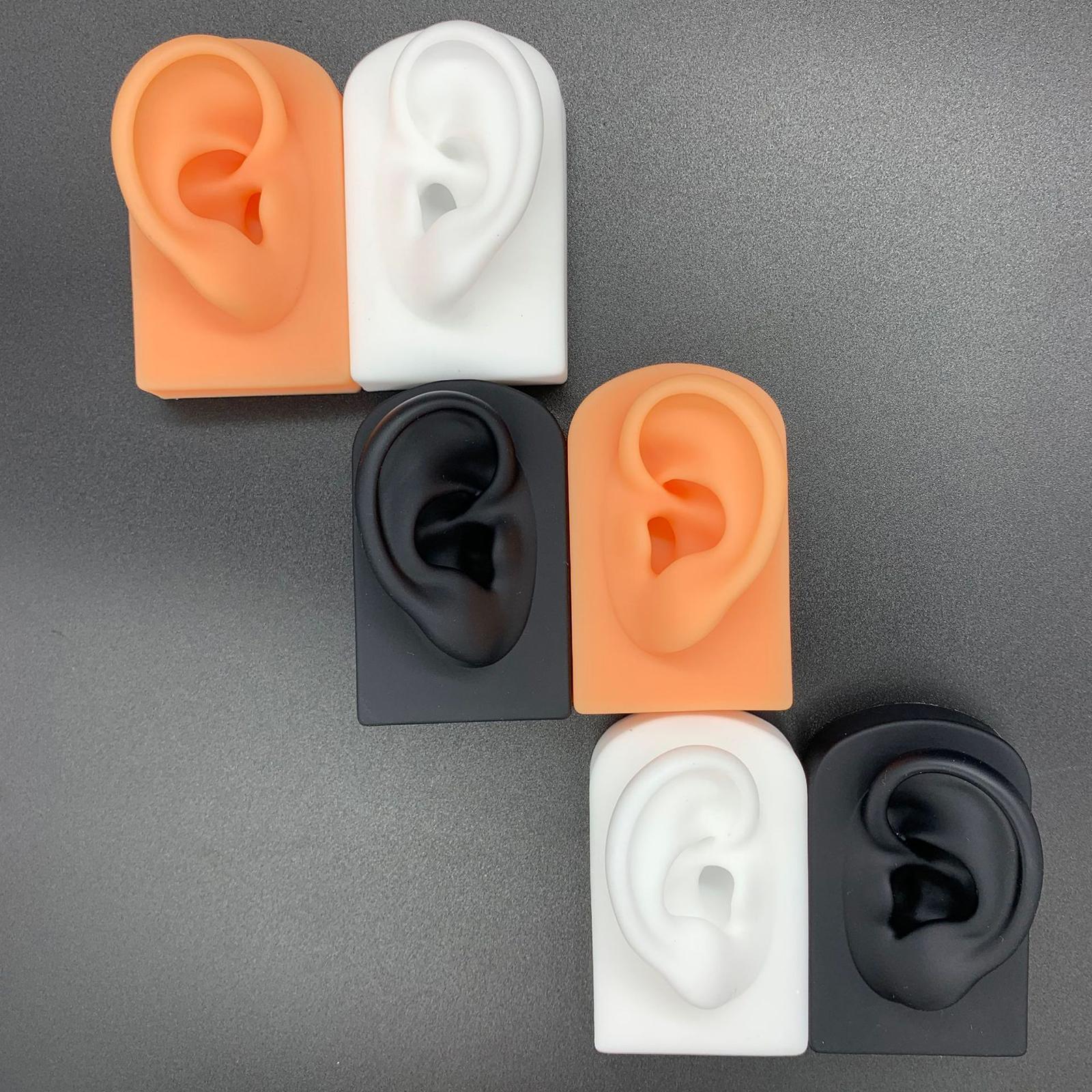 Silicone Soft Ear Model Teaching Tool Display Props  White