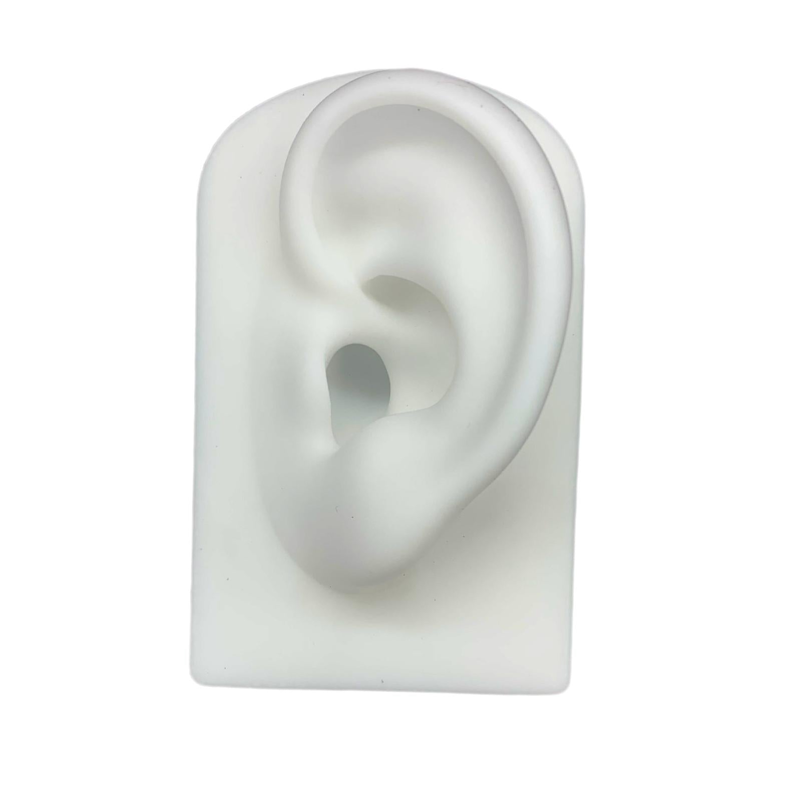 Silicone Soft Ear Model Teaching Tool Display Props  White