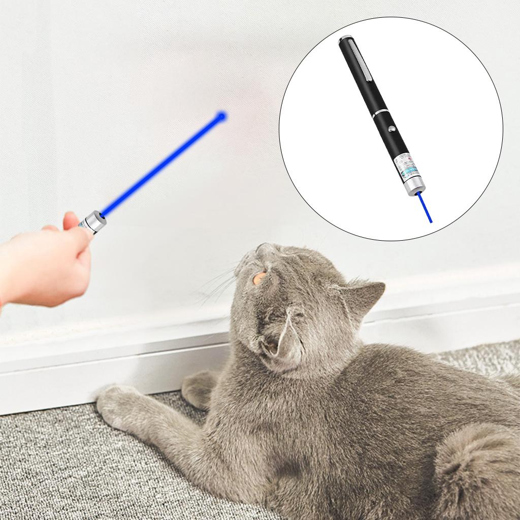 Multi-use Laser Pointer Pen Long Range Mini Flashlight Bluish Violet Light