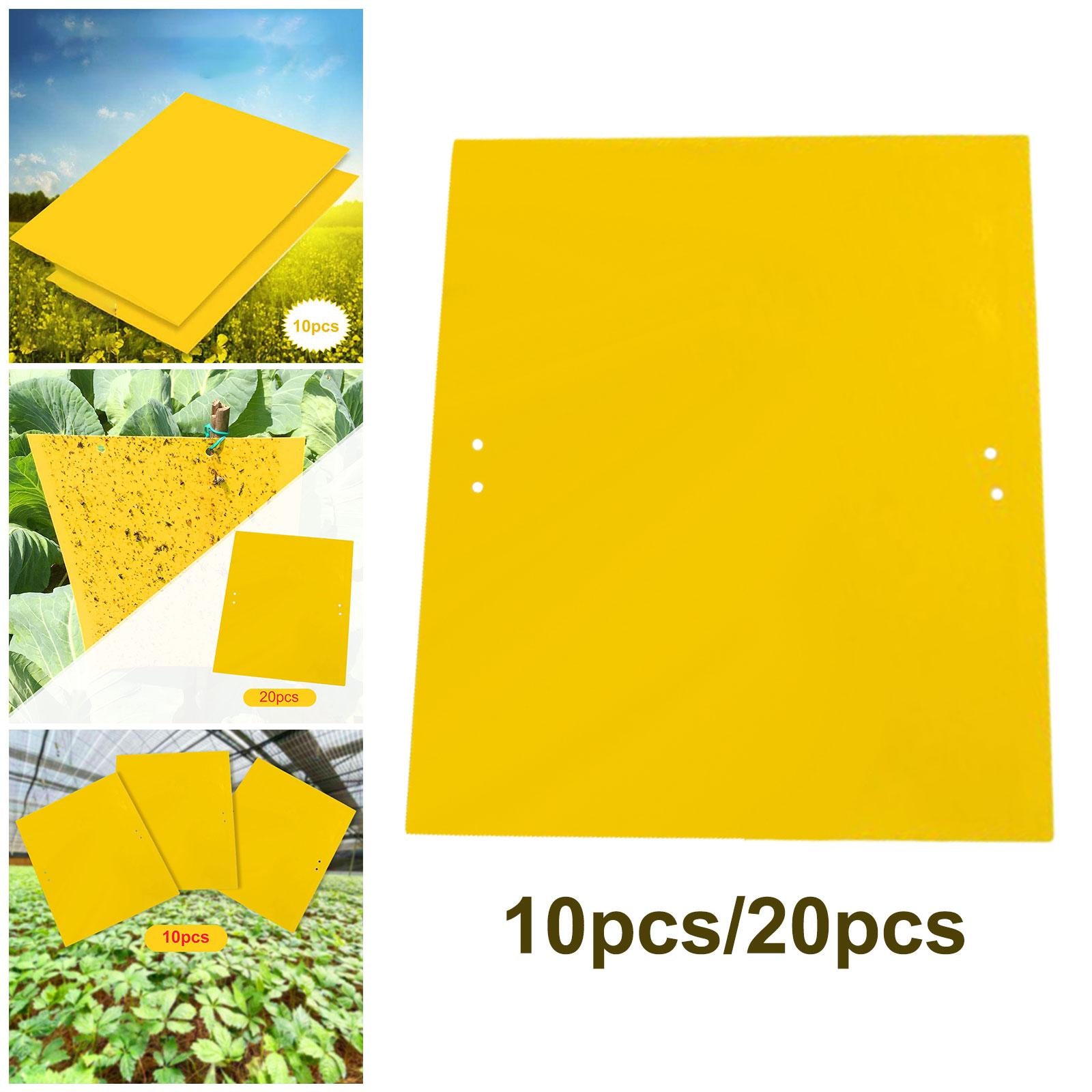Sticky Traps Insect Catcher Traps Plant Gnat Catcher  10pcs