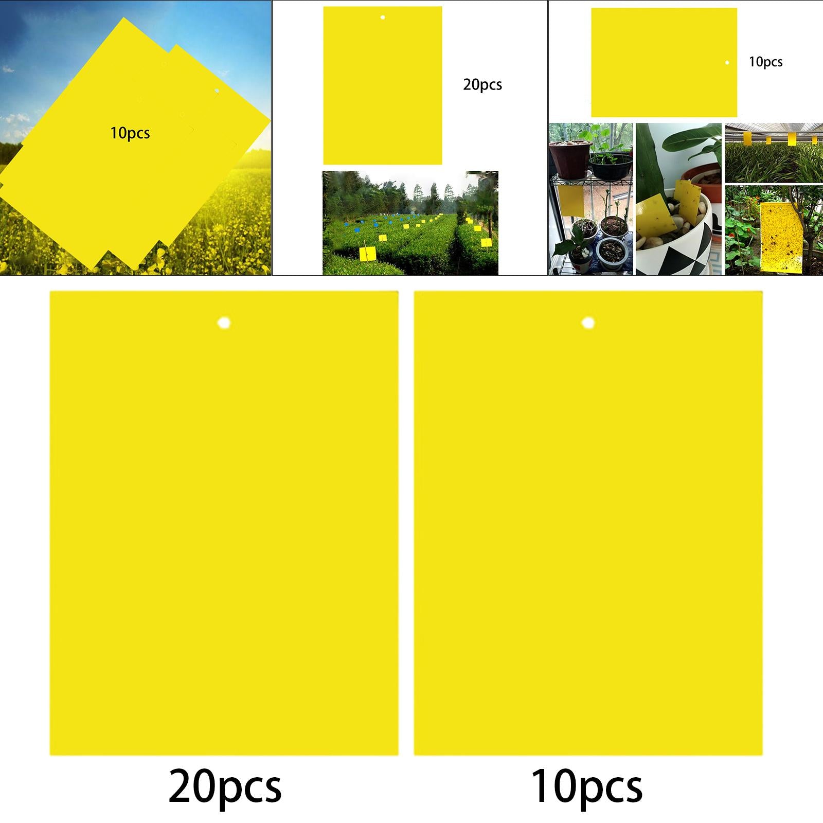 Sticky Traps 20x15cm Yellow Double-Sided for Flying Plant Insect Thrips 10PC