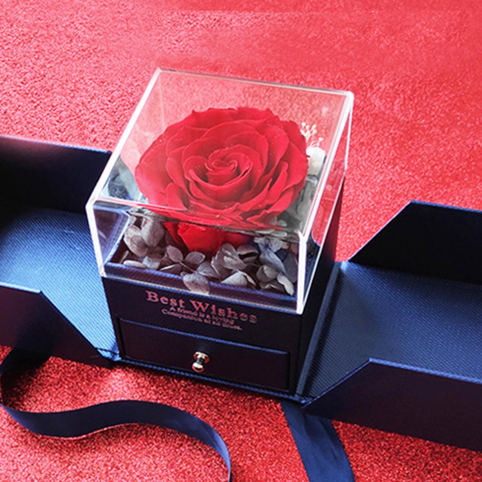 Natural Preserved Rose Eternal Rose for Valentines Day Mothers Day Women red