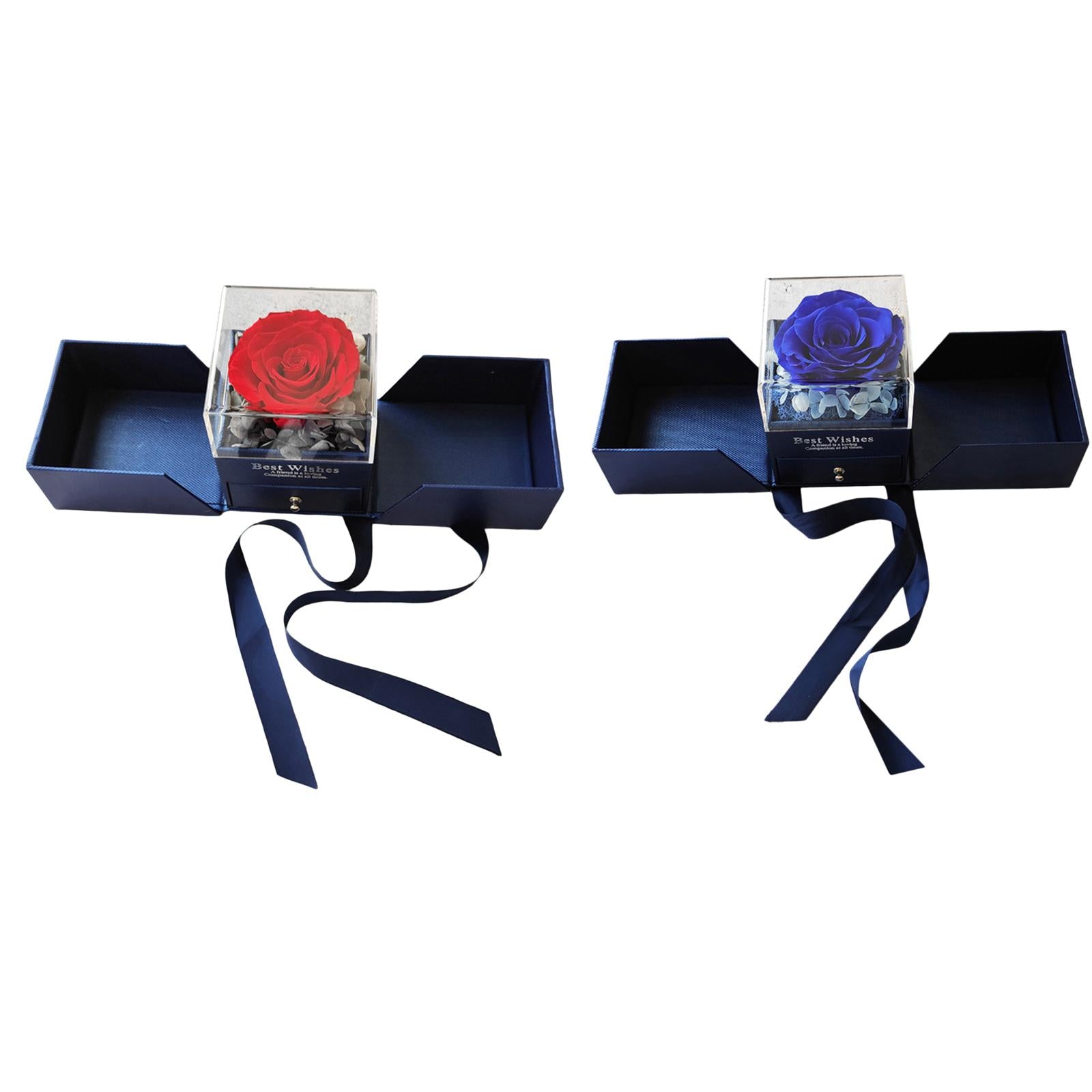Natural Preserved Rose Eternal Rose for Valentines Day Mothers Day Women red