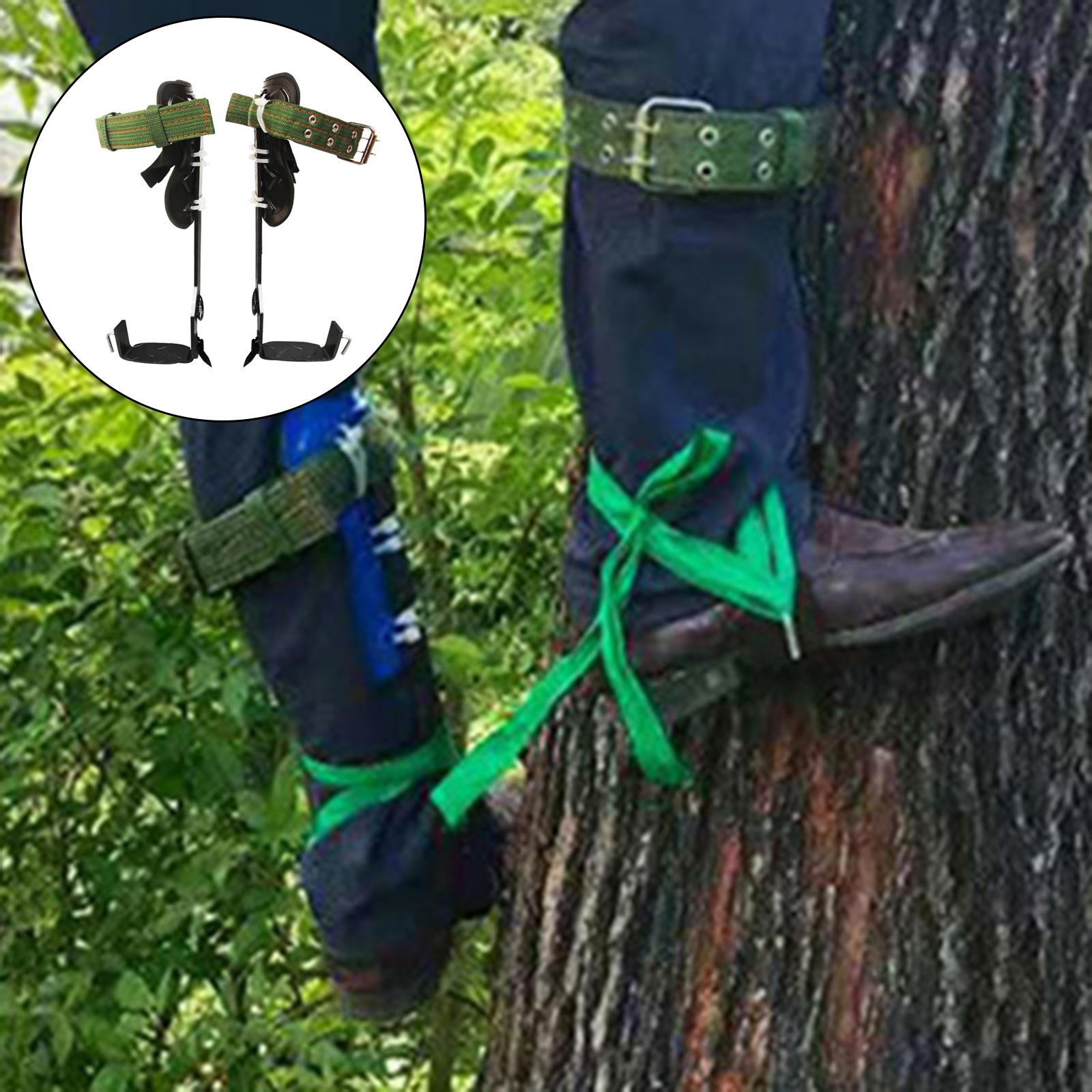 Tree Climbing Spike Set W/ Lanyard Wear-Resistant Anti Slip for Outdoor 1 Tooth