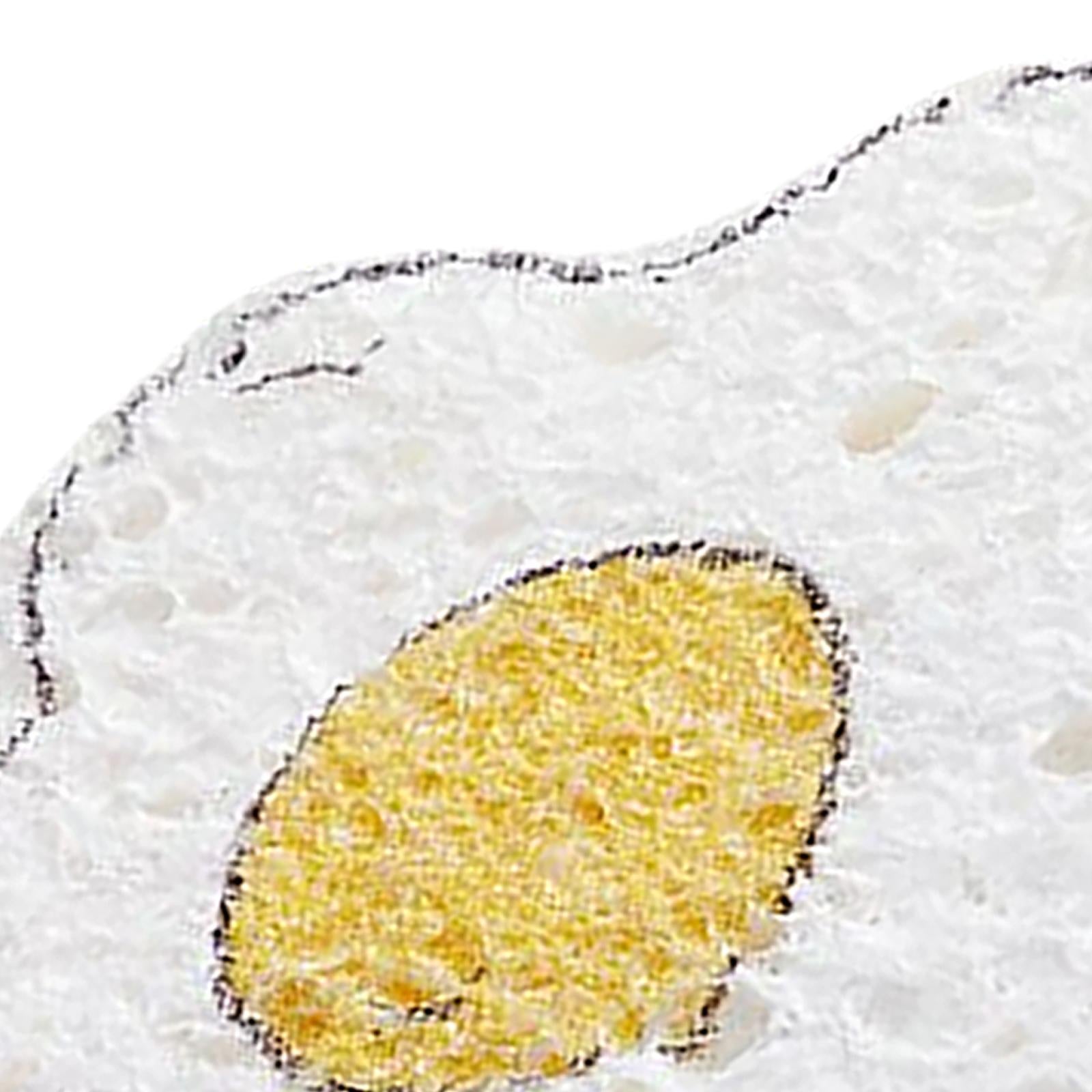 Non Stick Scrub Sponge Reusable Multifunctional for Bathroom Dish Pans Egg