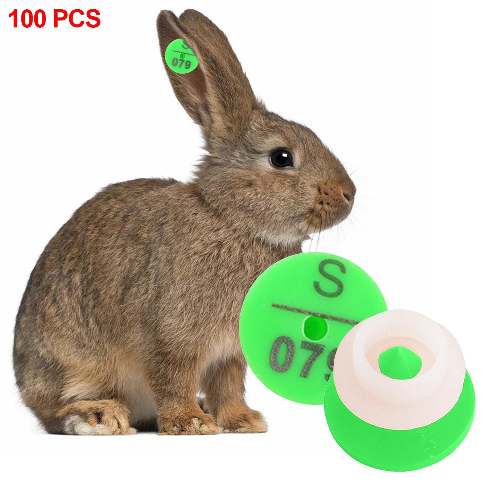 100Pcs Numbered Ear Tag Earrings for Rabbit Cow Cattle Pigs Calf Hogs Sheep Green
